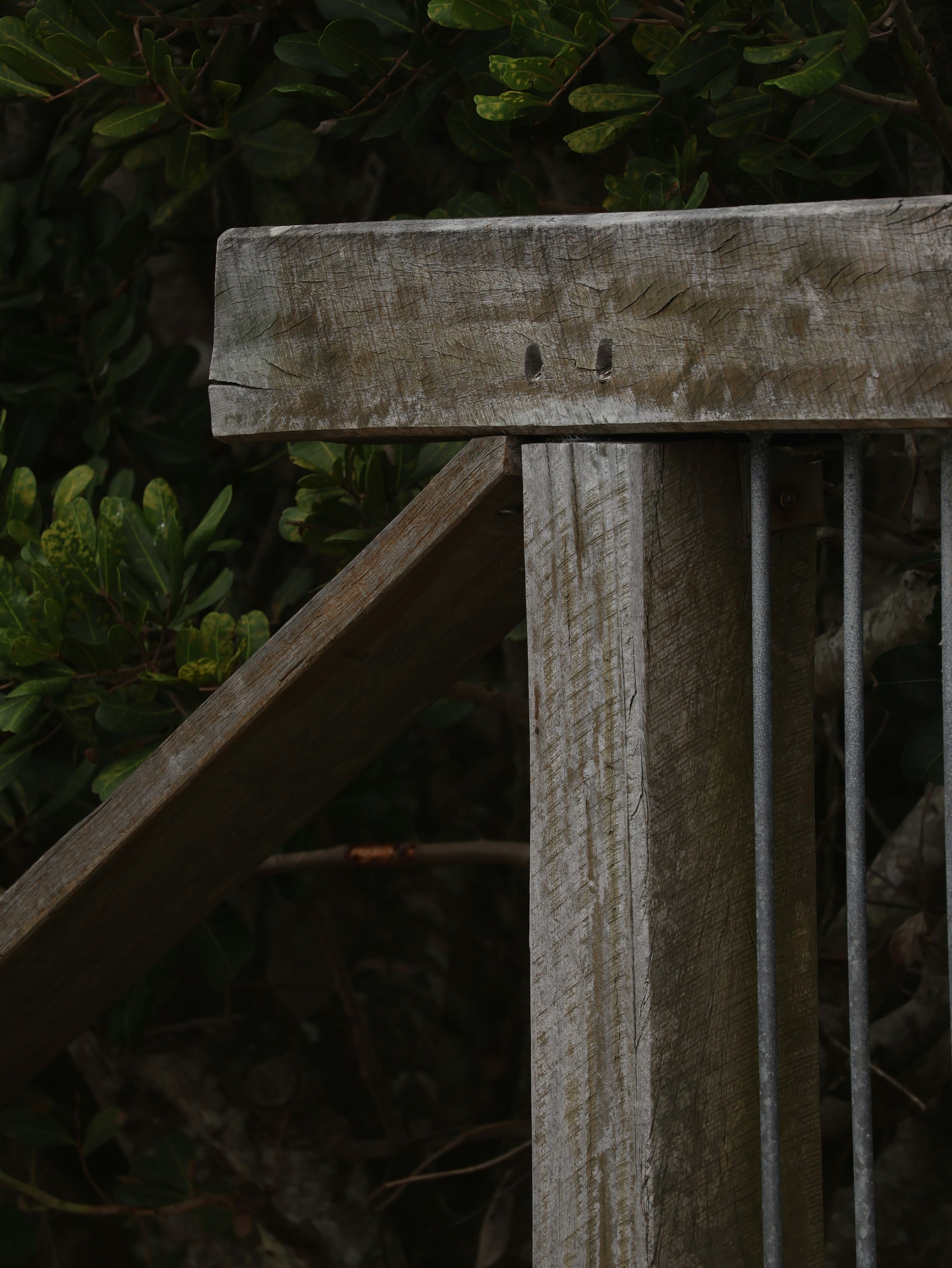 Photo by unsealmyname