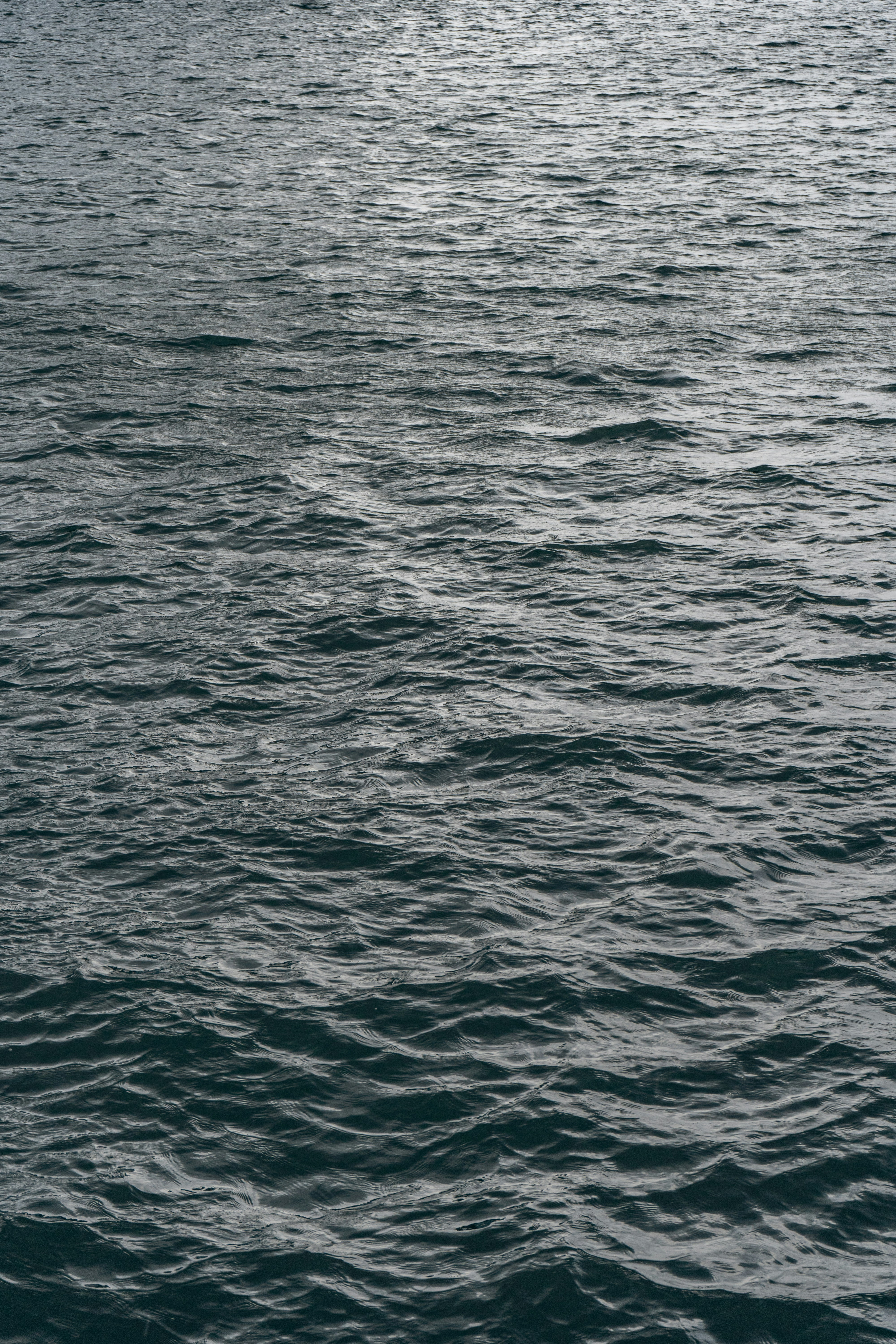 Photo by karthickgislen