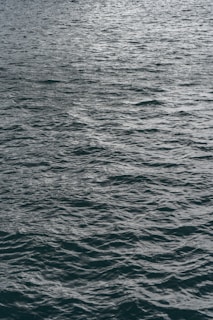Rippling water surface with gentle waves on a body of water, creating a textured and dynamic pattern.