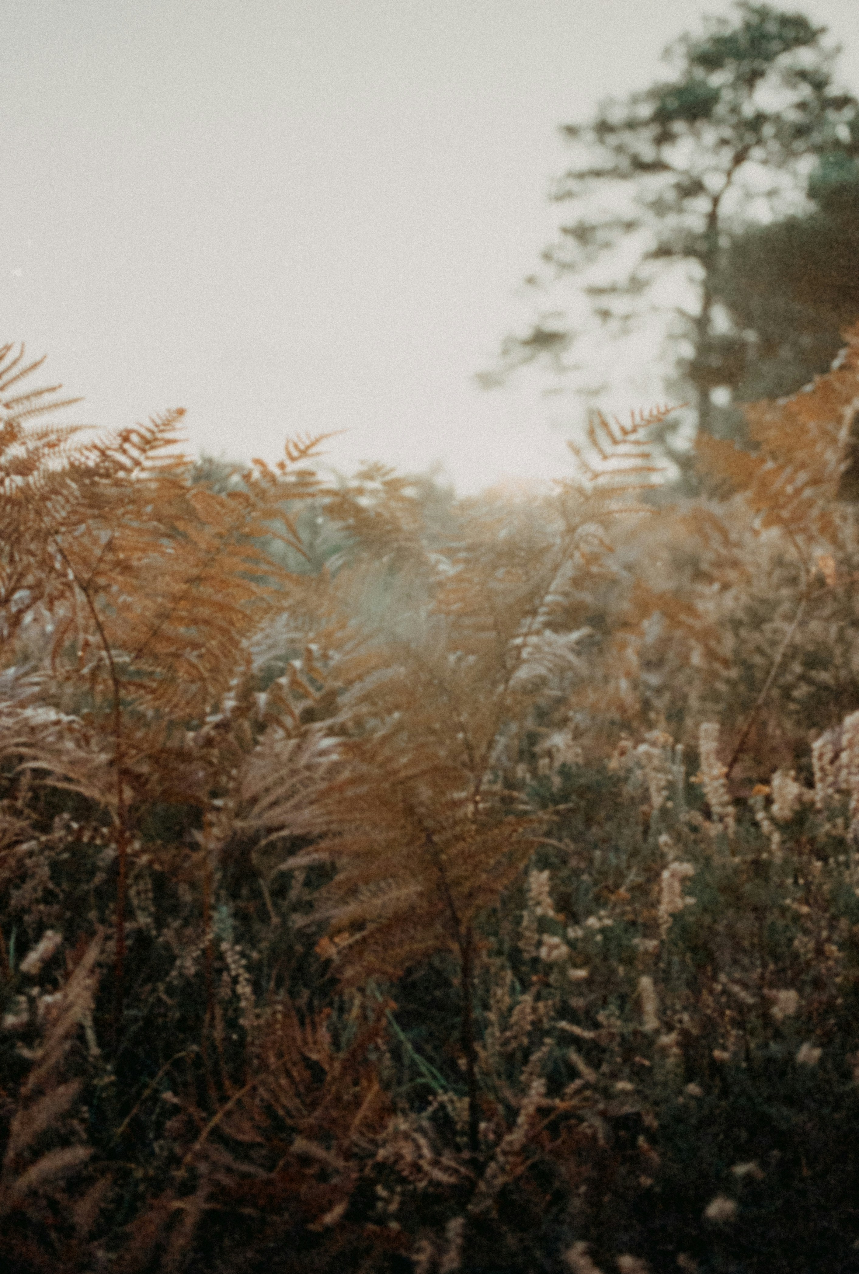 Photo by anniespratt