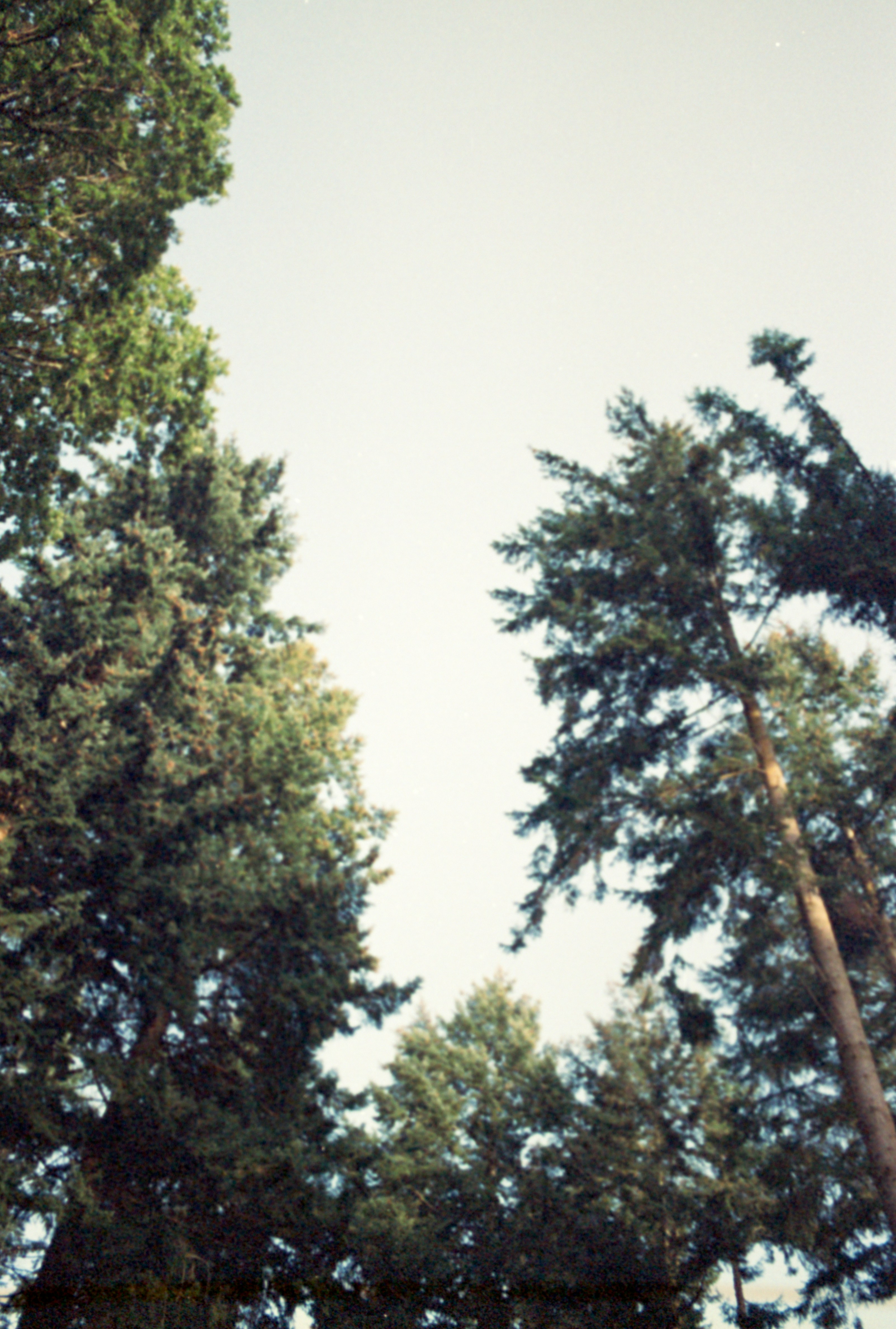 Photo by anniespratt