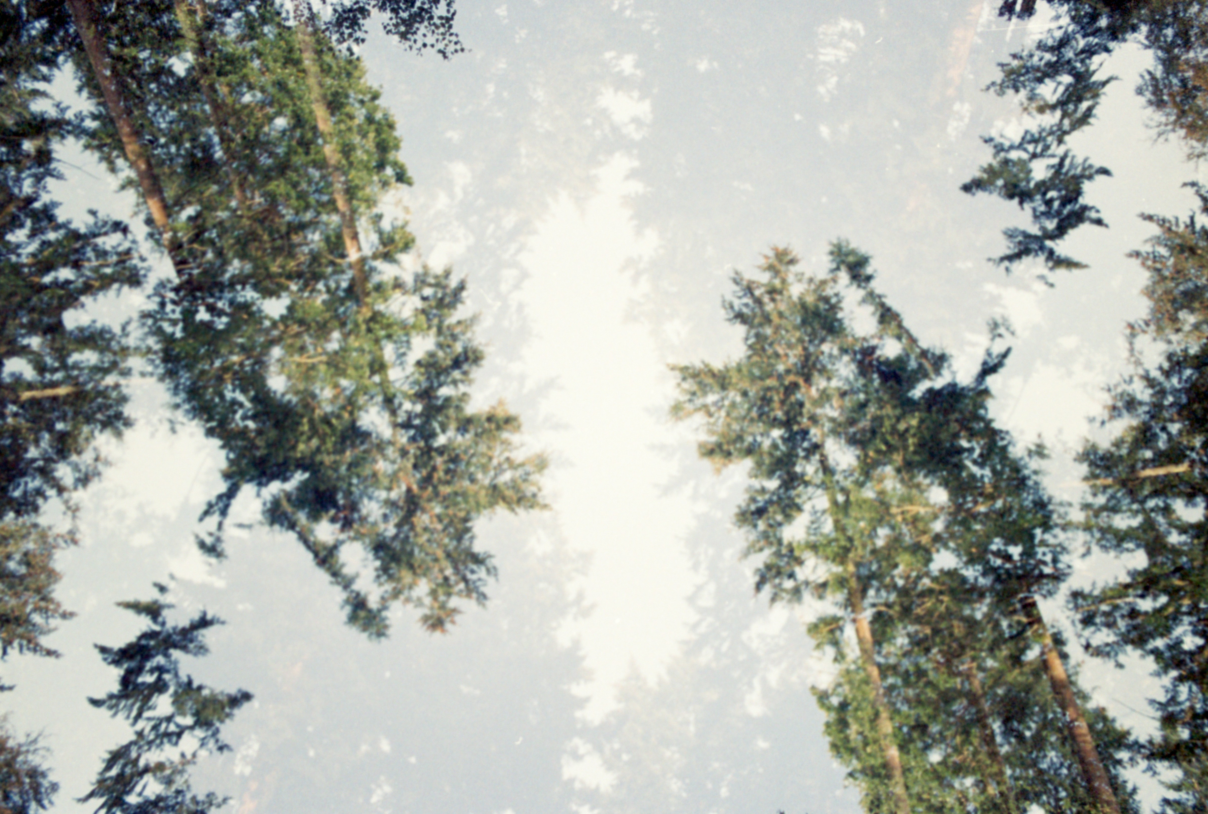 Photo by anniespratt