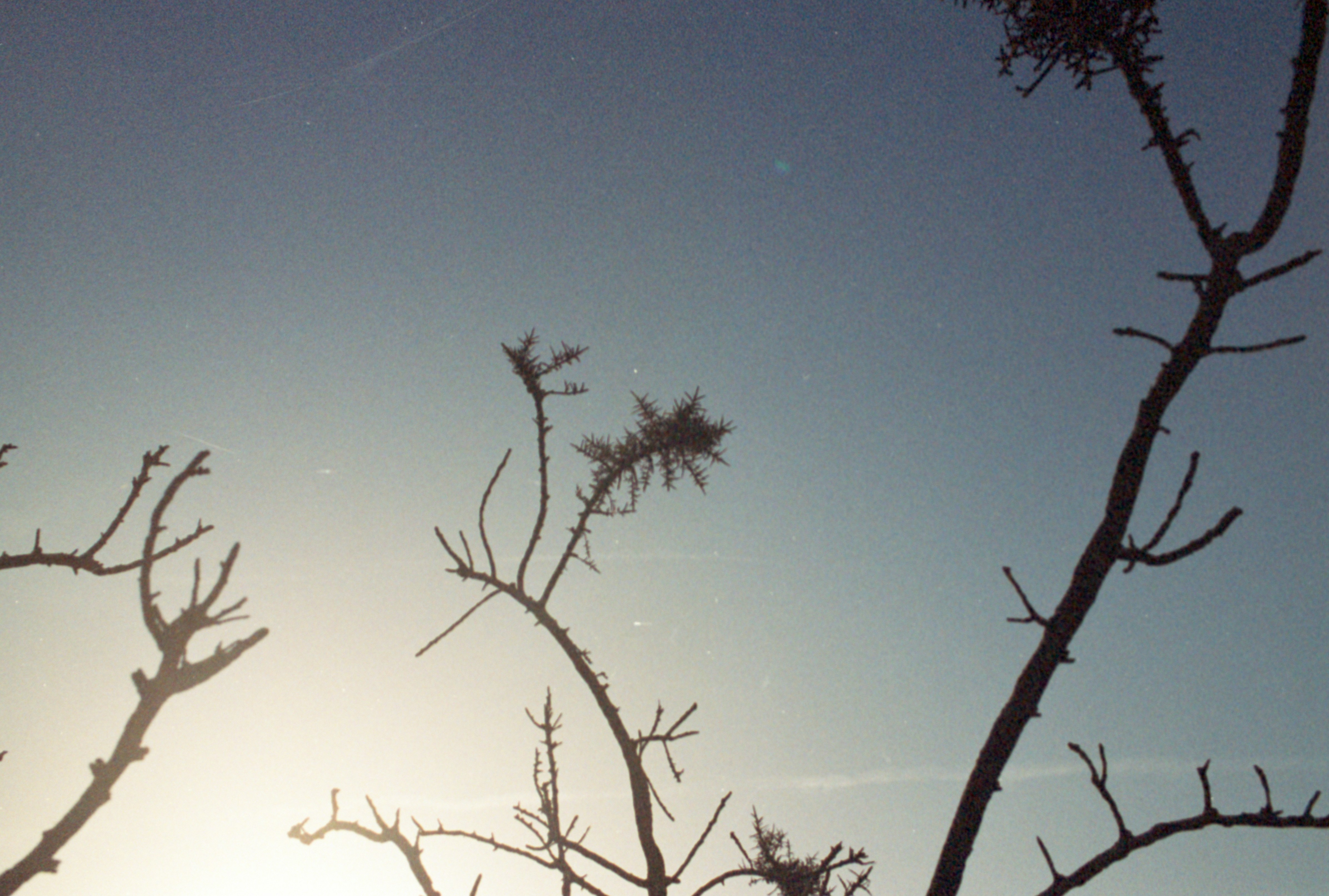 Photo by anniespratt