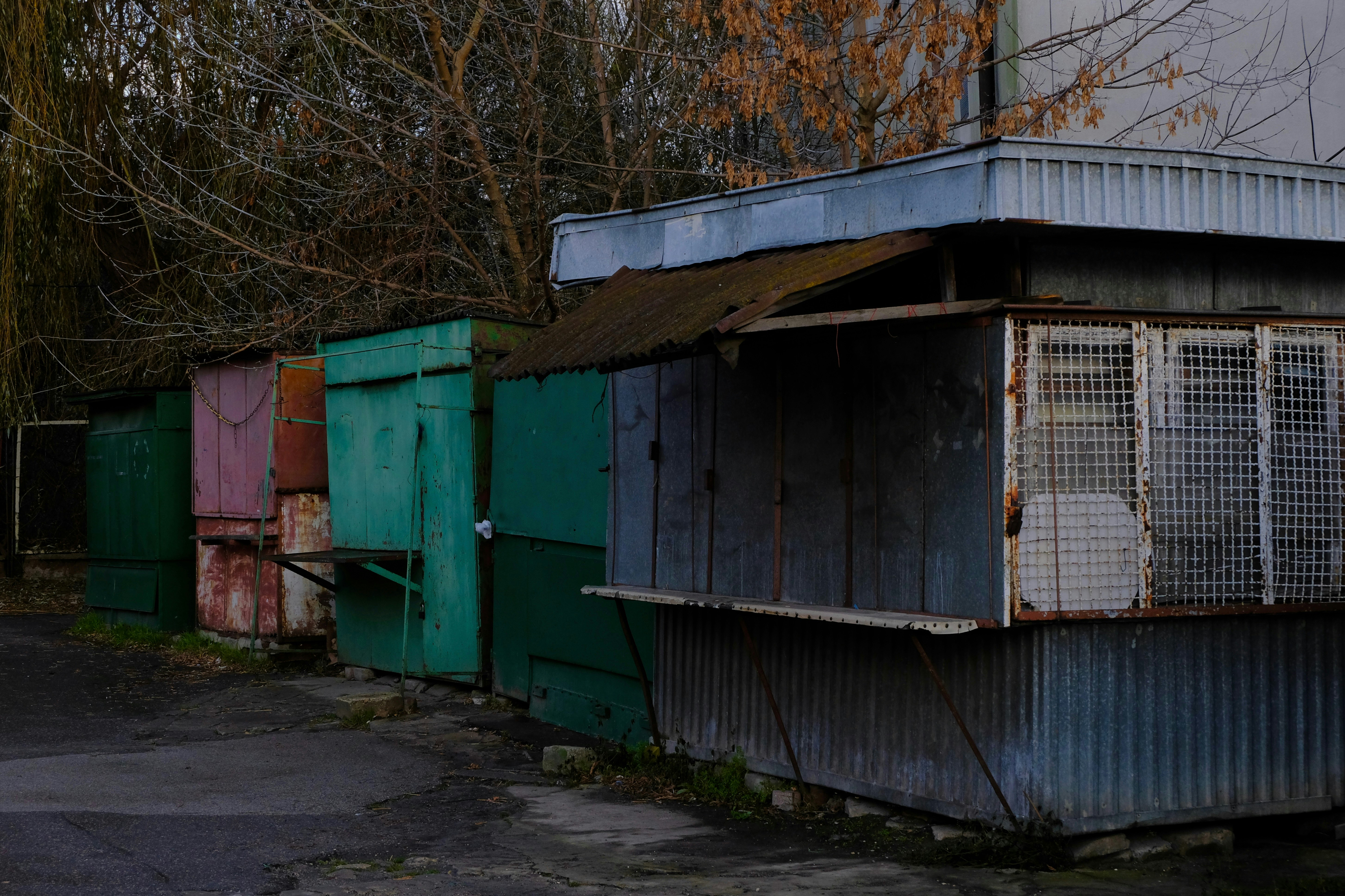 Photo by uladzimir_v