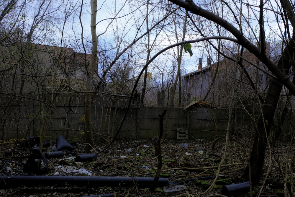 a run down building in the middle of a forest