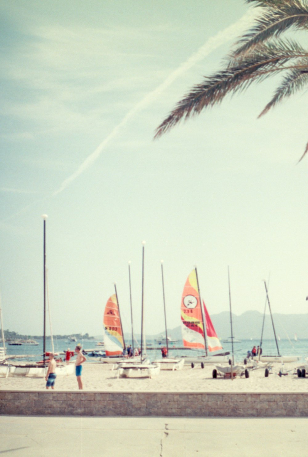 a group of sailboats sitting on top of a beach