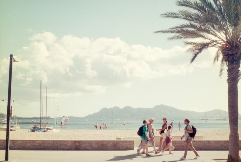 um grupo de pessoas caminhando ao longo de uma praia ao lado de uma palmeira