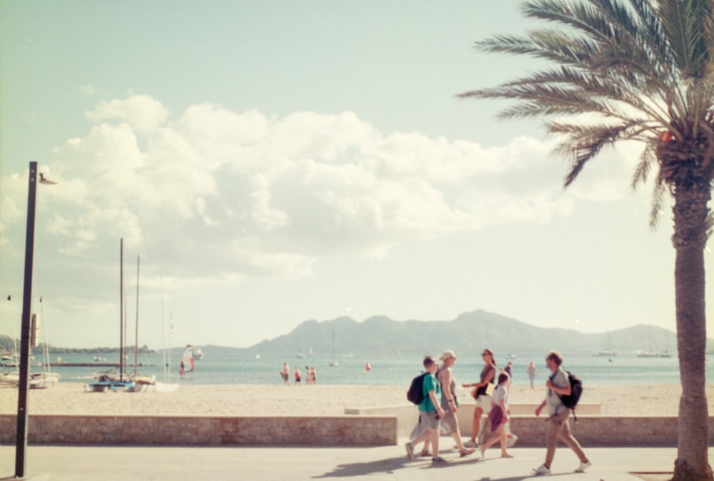 a group of people walking along a beach next to a palm tree