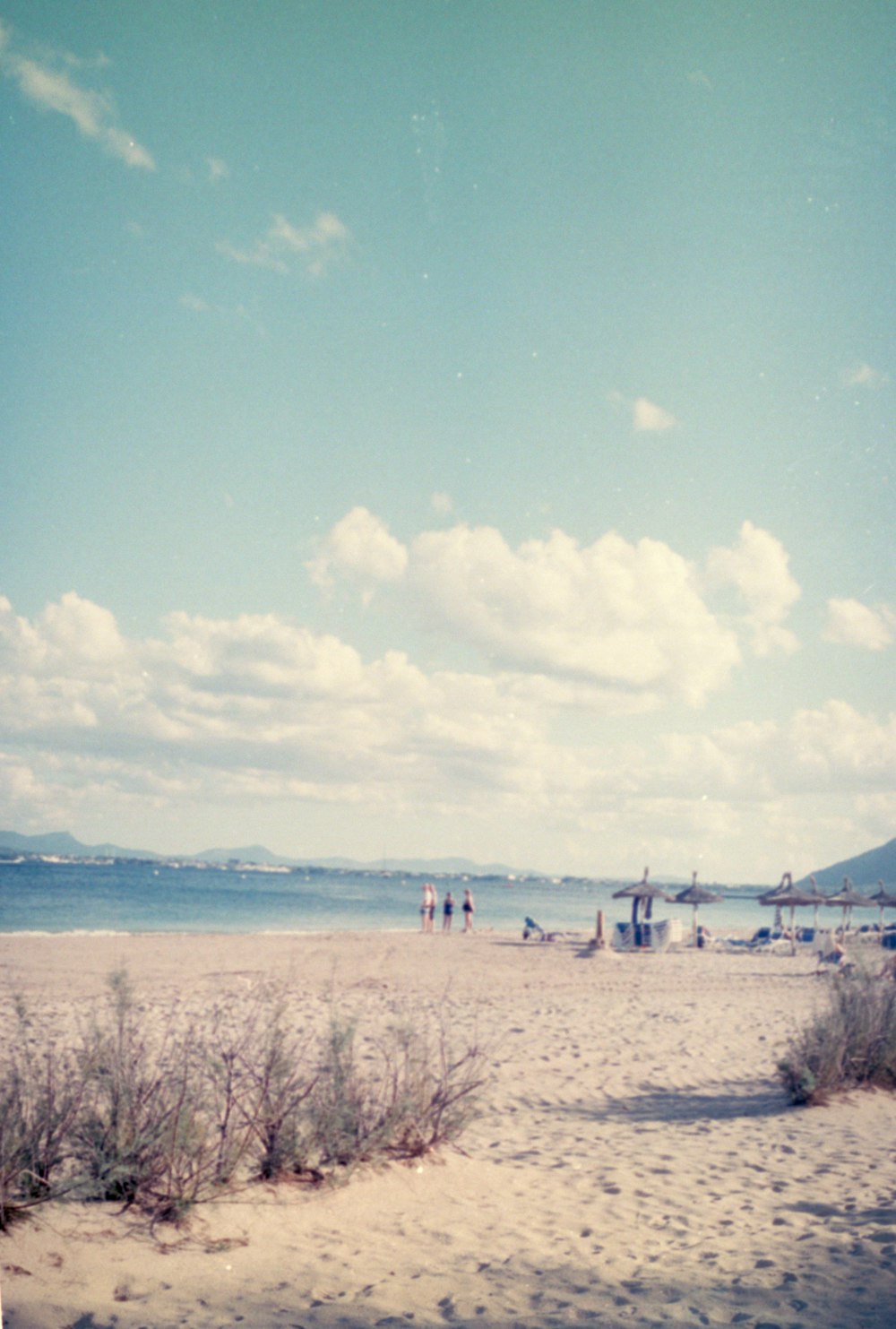 a group of people standing on top of a sandy beach