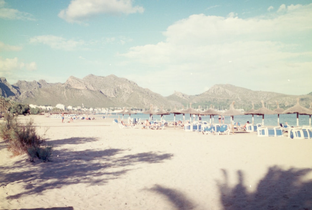 una spiaggia con un sacco di sedie e ombrelloni