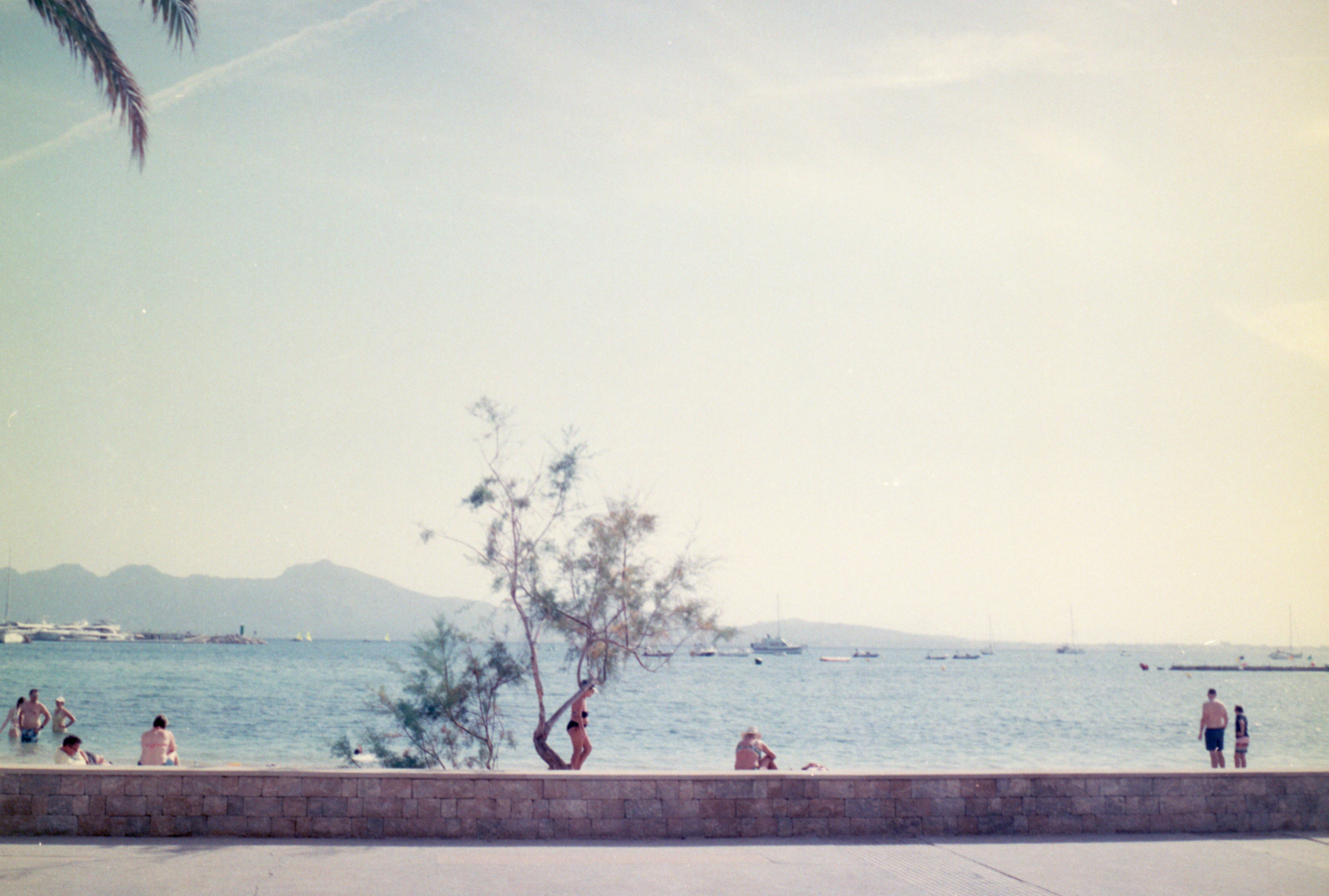 Photo by anniespratt