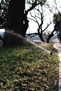 A technician adjusting a sprinkler system in a lush garden under a bright sky.