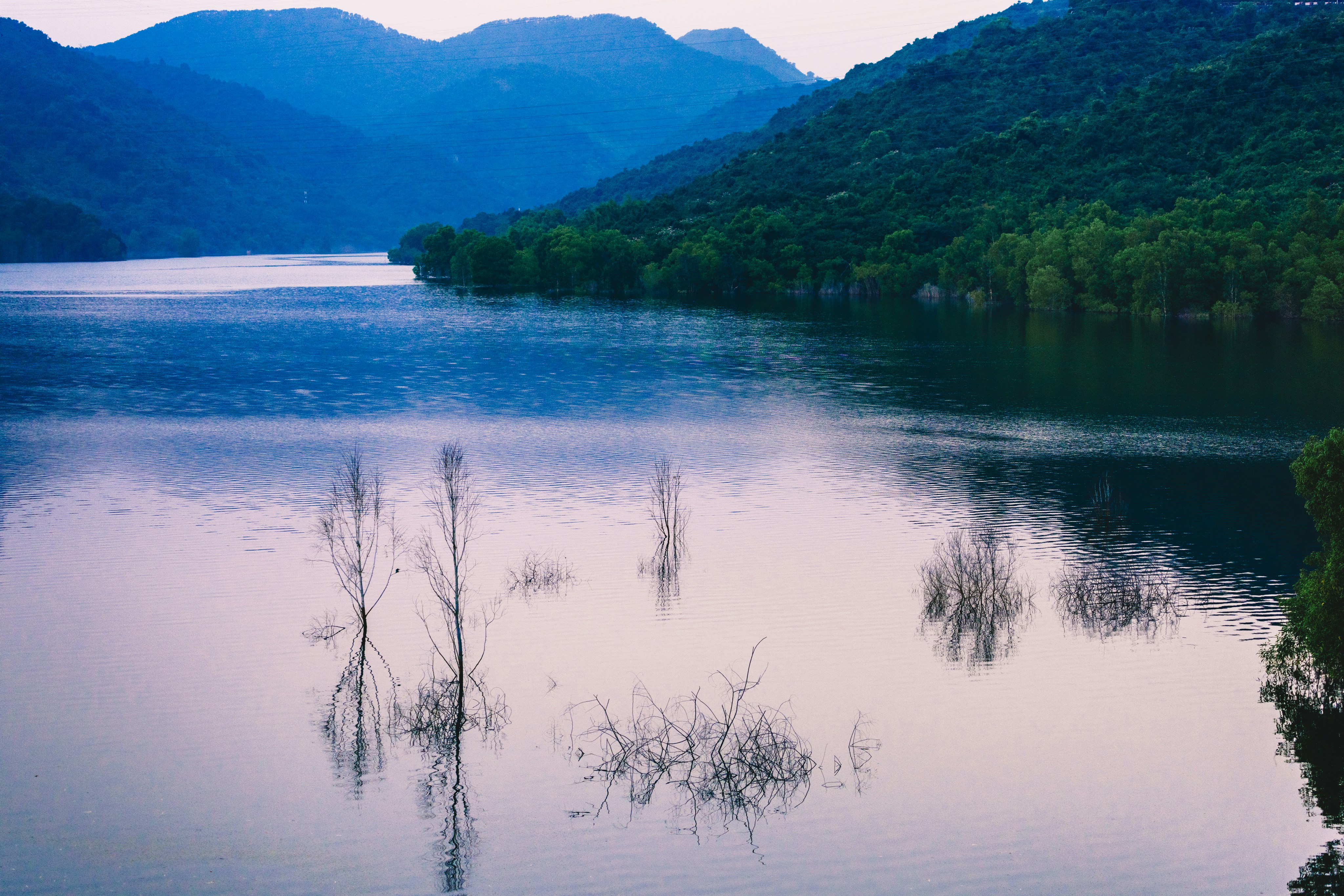 Photo by dickenslin76