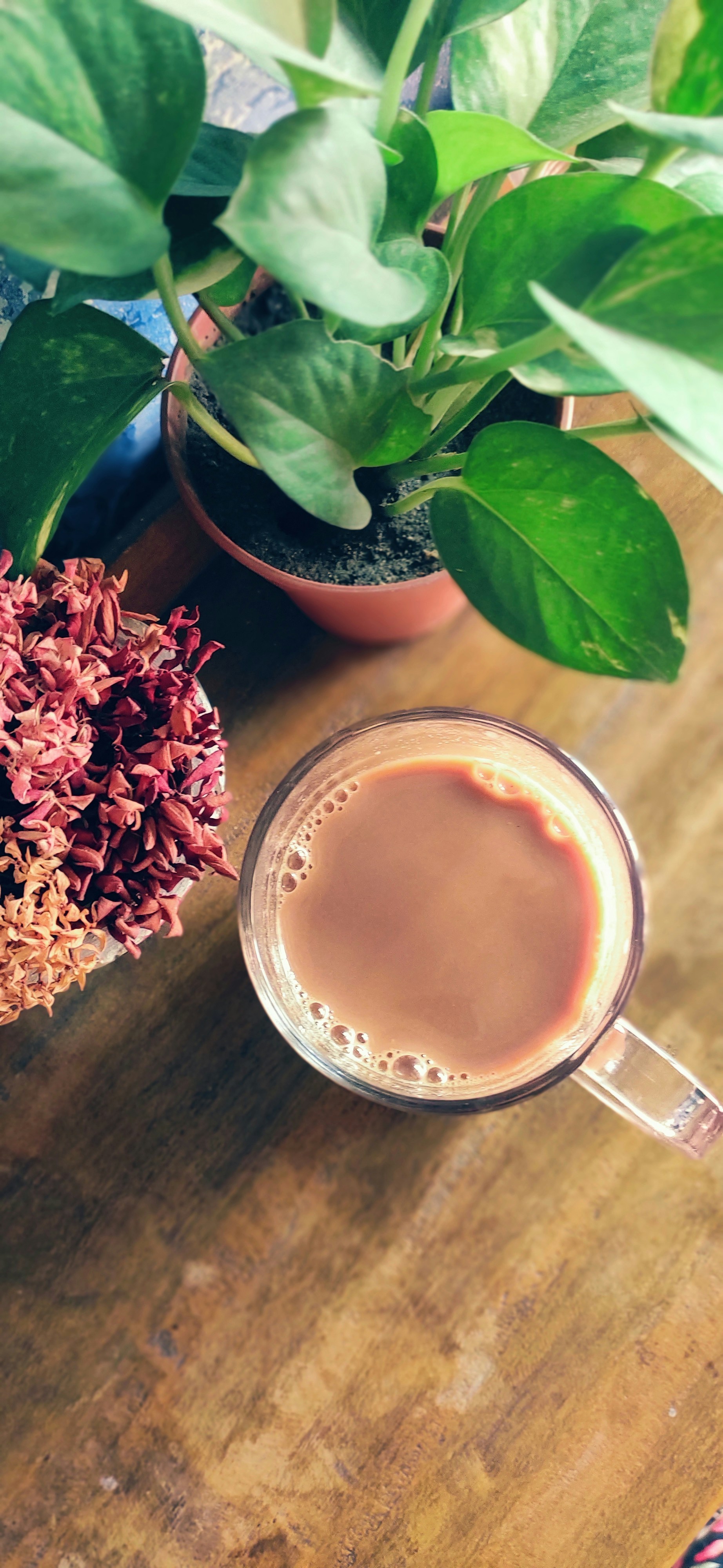 Taza de té humeante junto a flores secas sobre mesa de madera clara, ambiente sereno