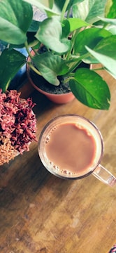 Steaming cup of organic coffee beside a blooming herb plant indoors.