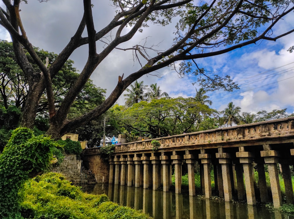 a bridge over a body of water surrounded by trees