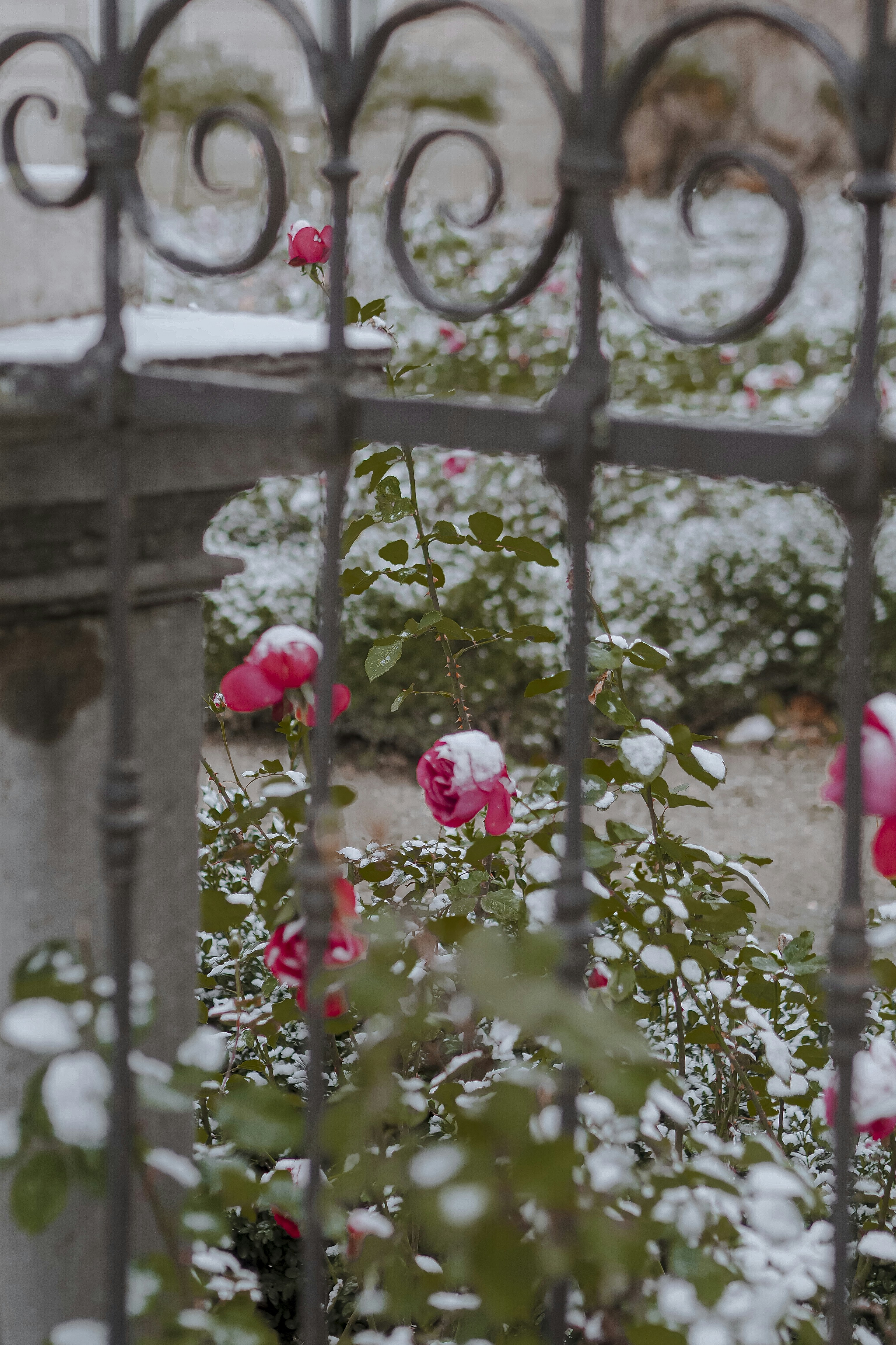 Photo by laurachouette