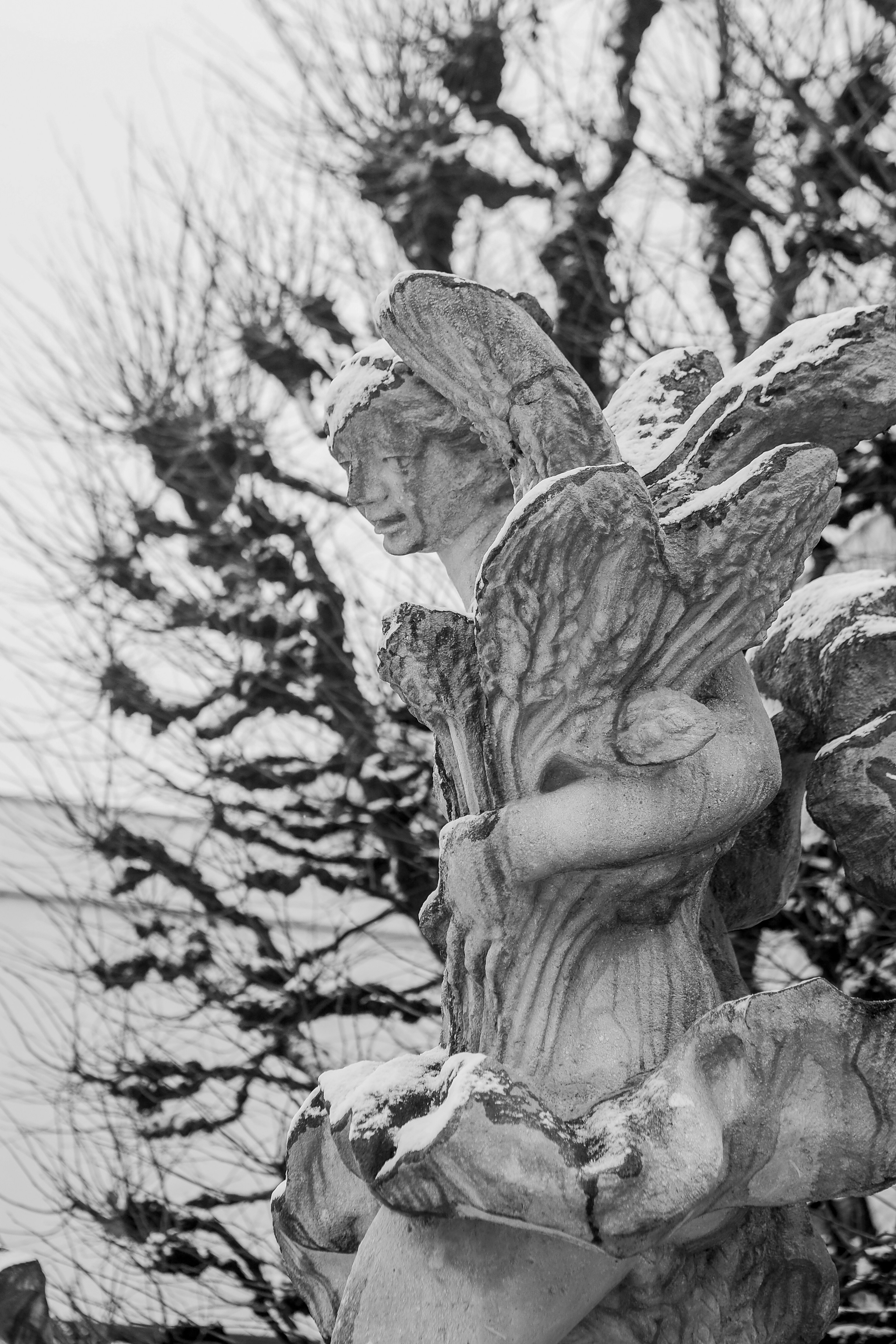 Photo by laurachouette