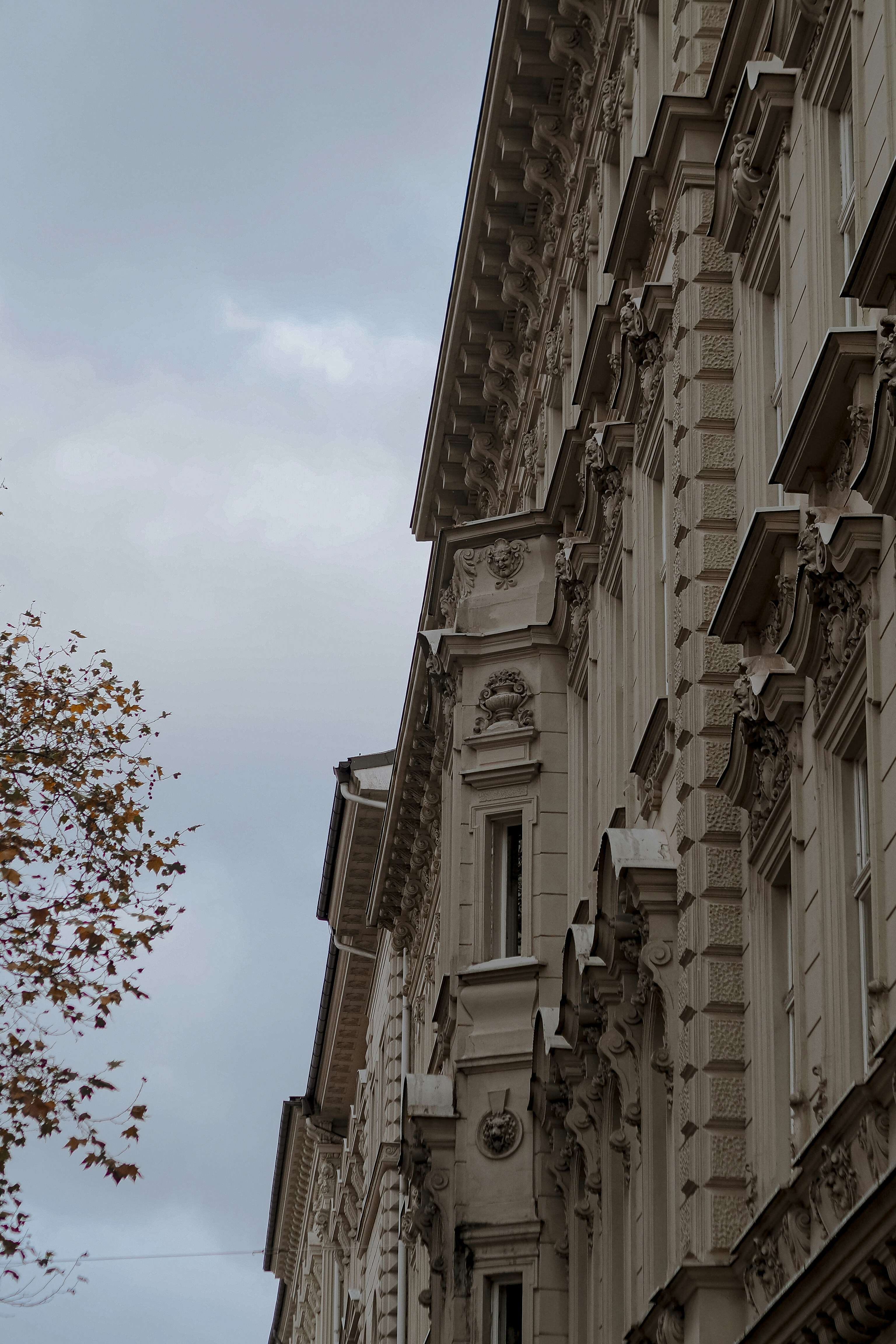 Photo by laurachouette