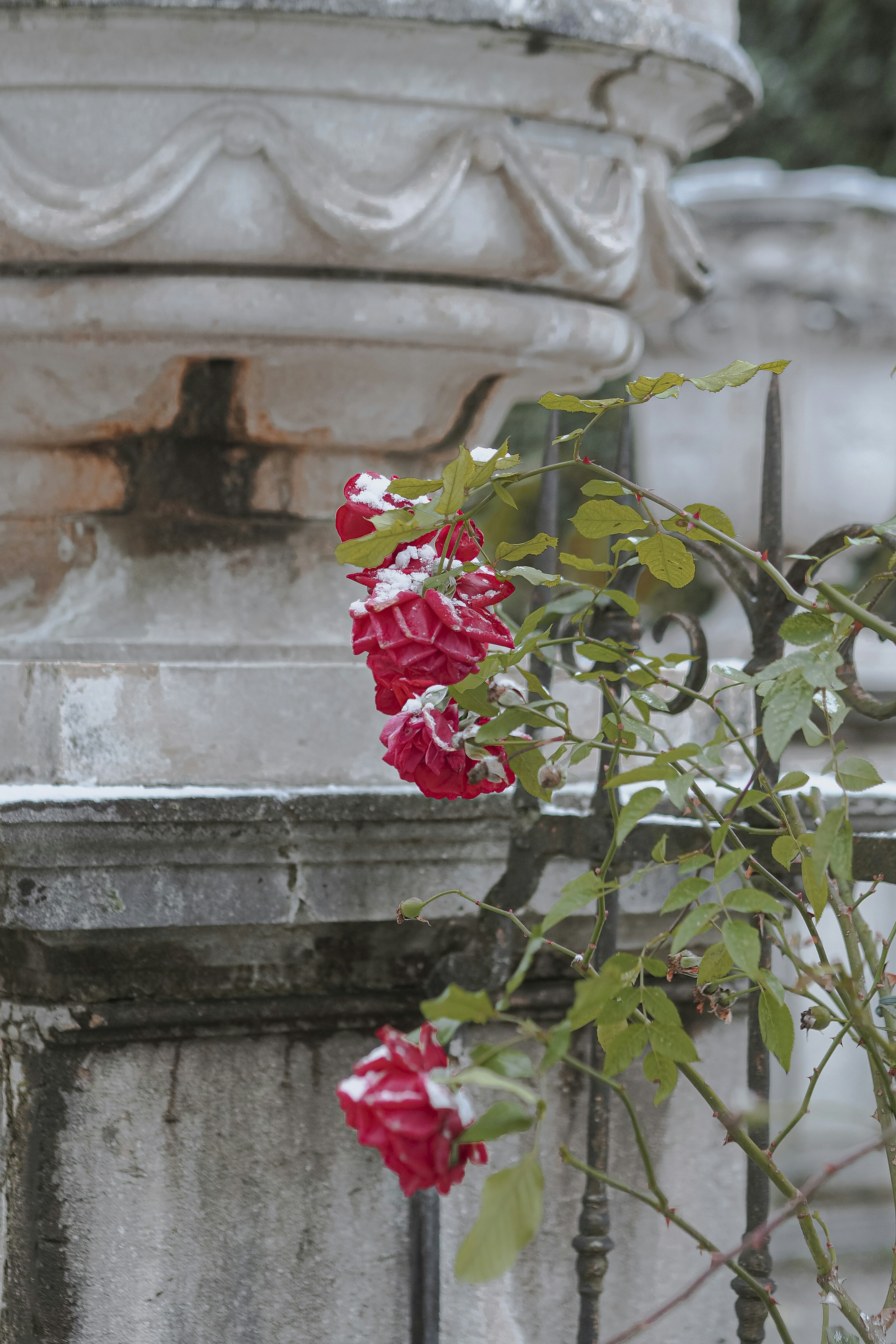 Photo by laurachouette