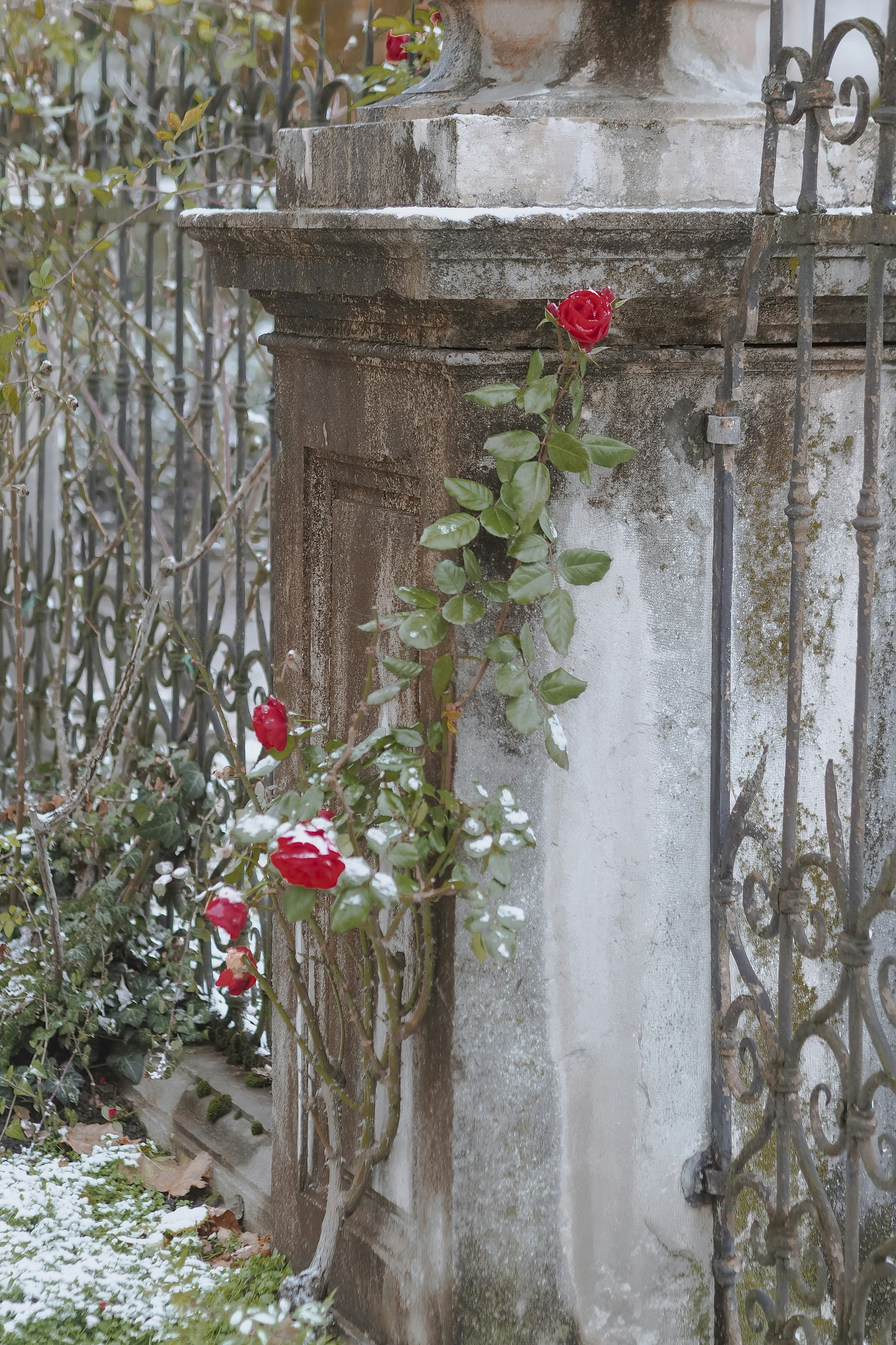 Photo by laurachouette