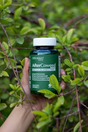 A hand holds a dark green bottle of dietary supplement gummies amidst bright green leaves. The bottle is labeled as 'AfterCoweed' and contains omega 3, 6, 9, and DHA advanced formula. The background features dense foliage.