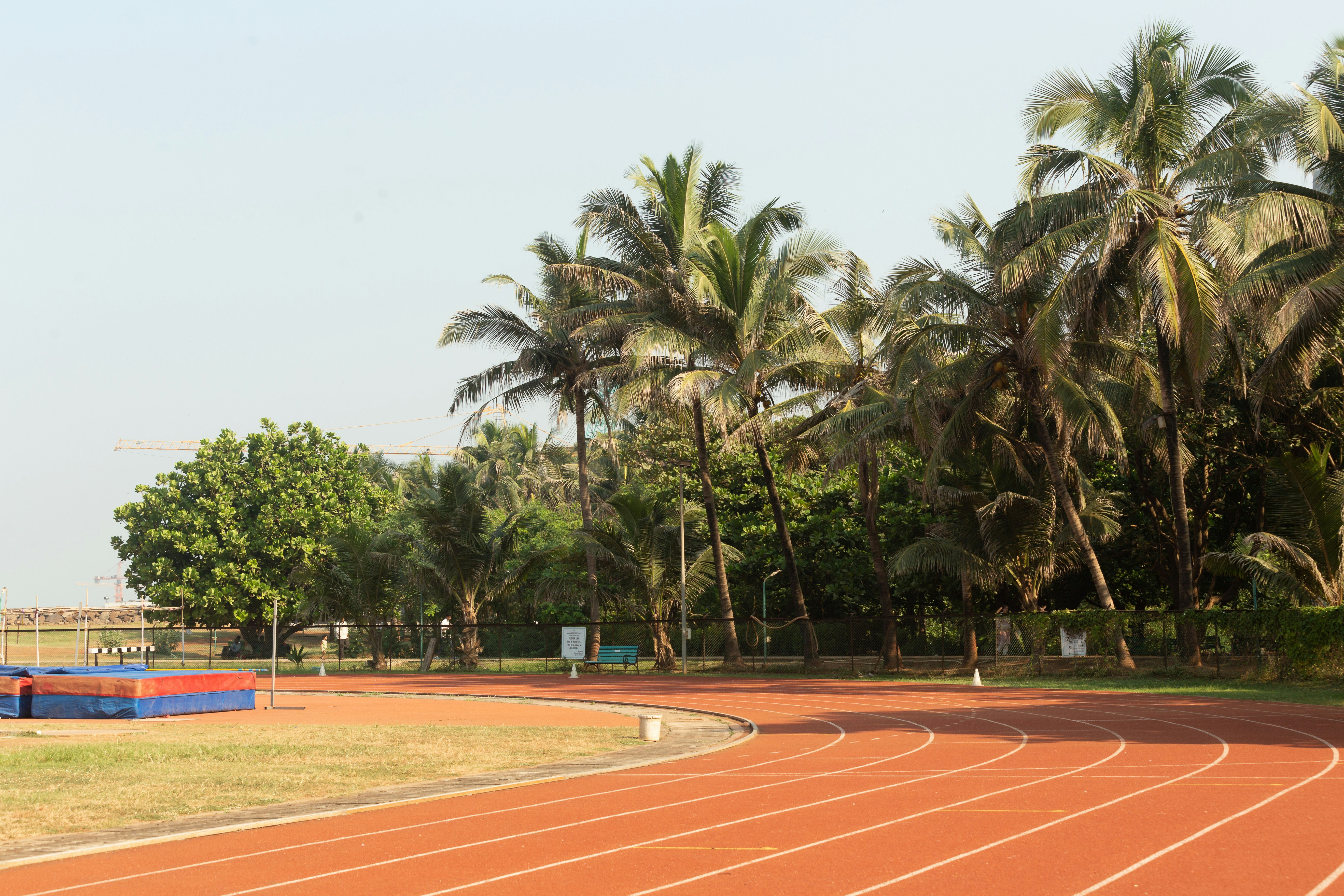 a running track with palm trees in the background
