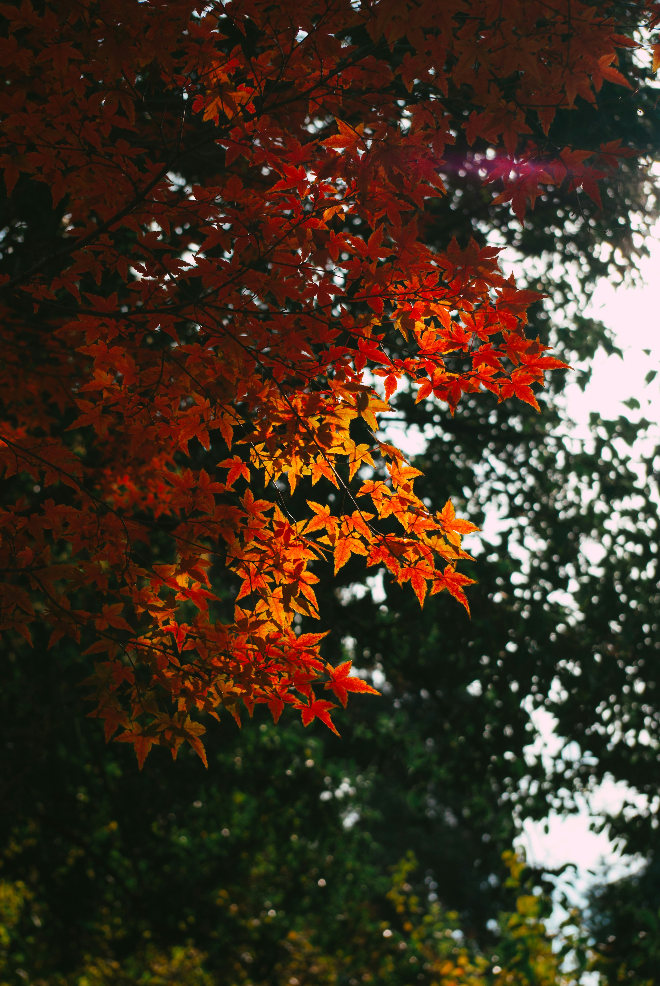 Photo by moonmoons_days