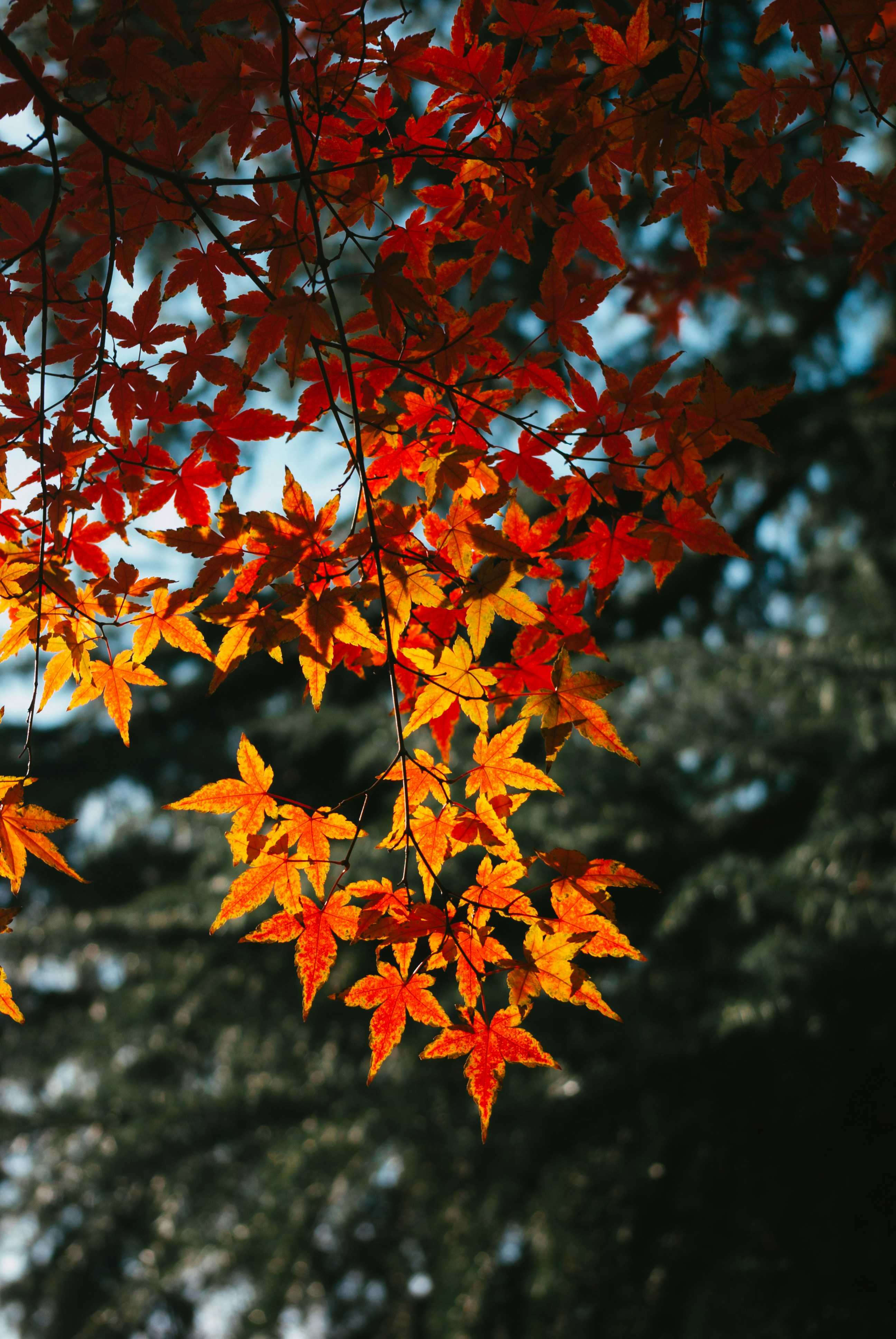 Photo by moonmoons_days