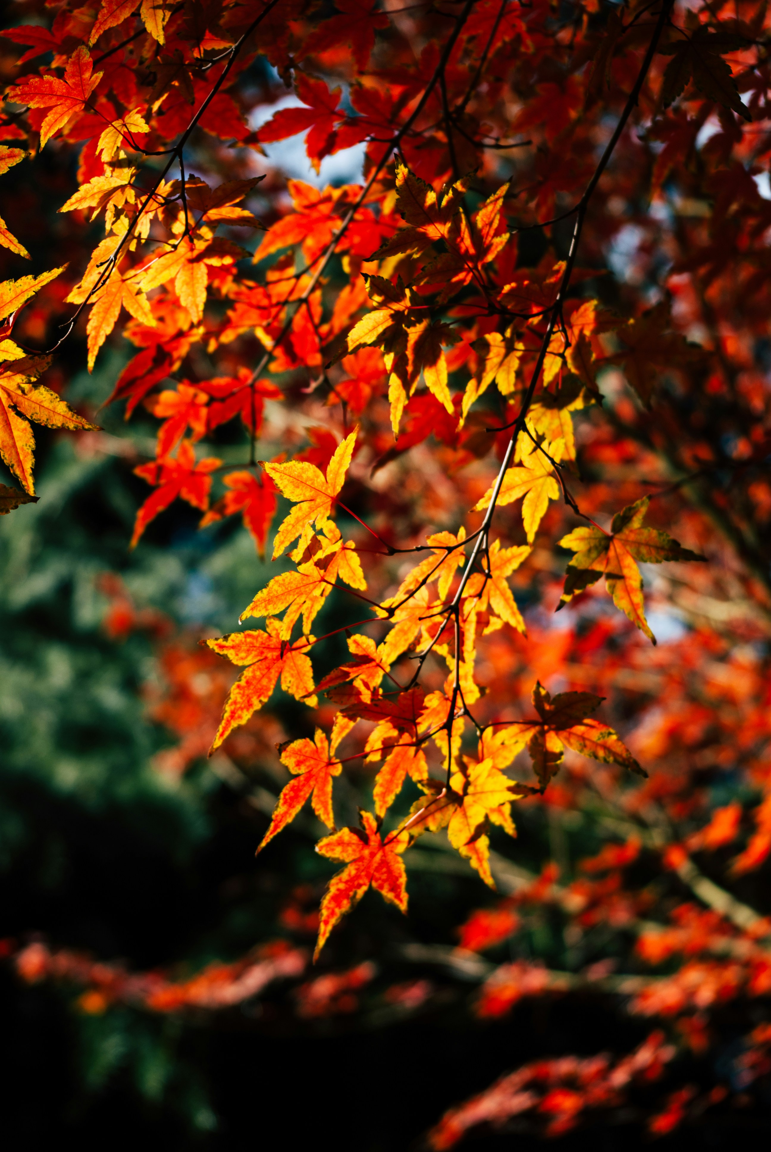 Photo by moonmoons_days