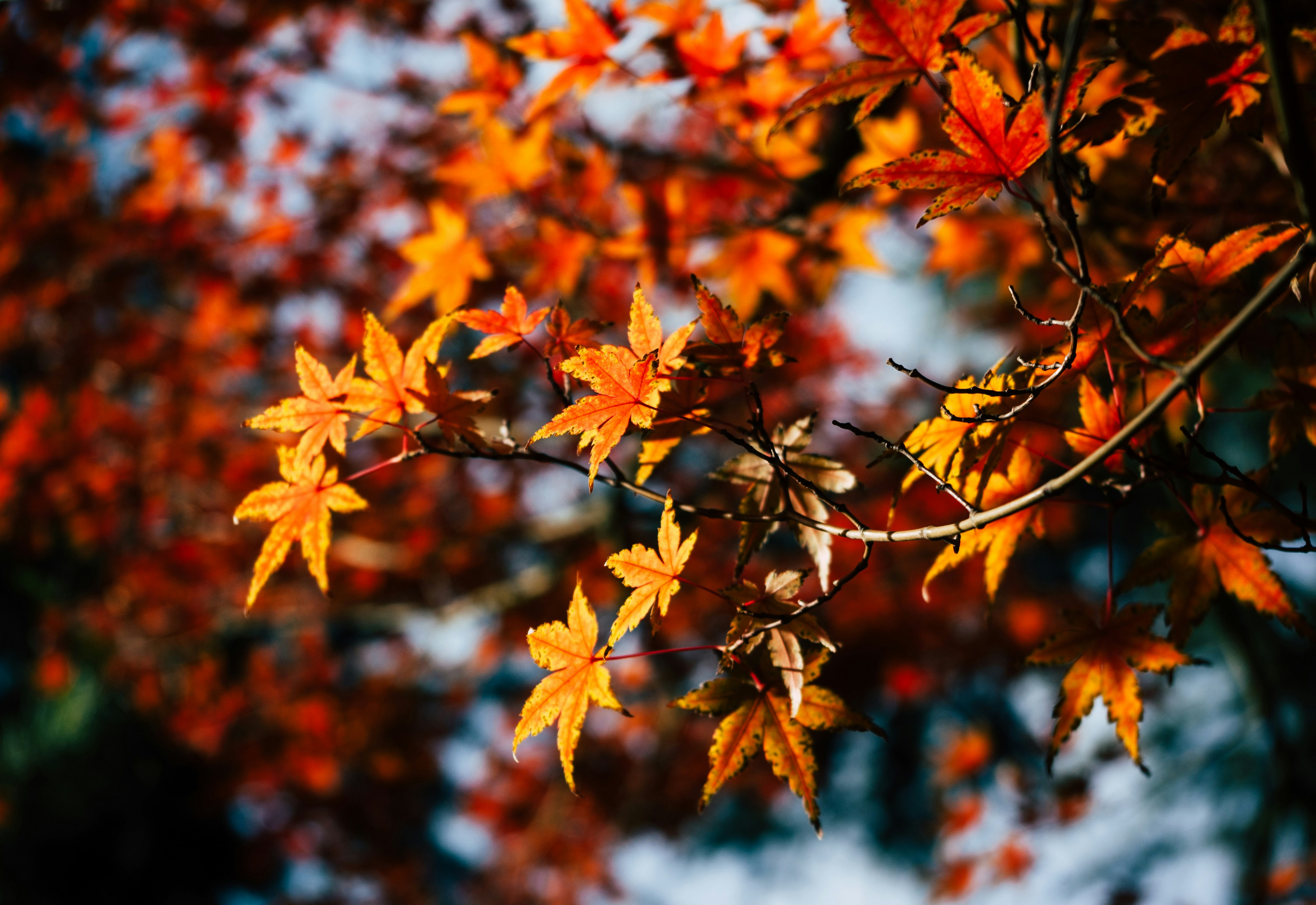 Photo by moonmoons_days