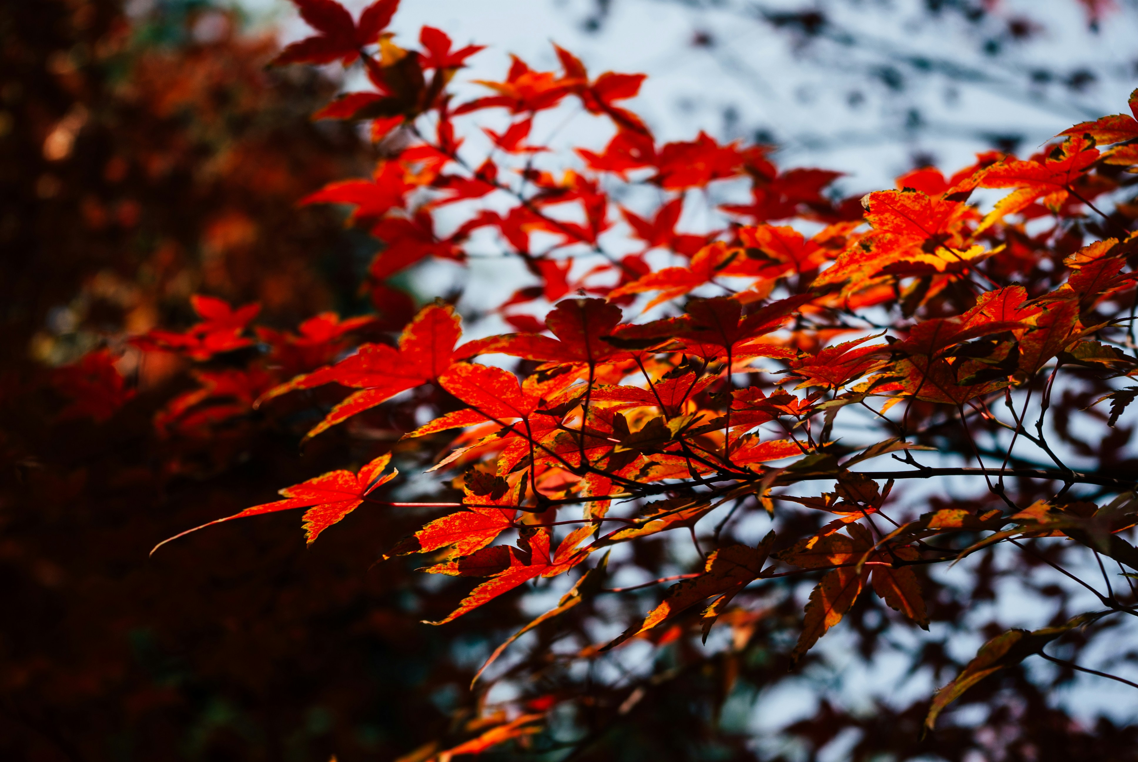 Photo by moonmoons_days