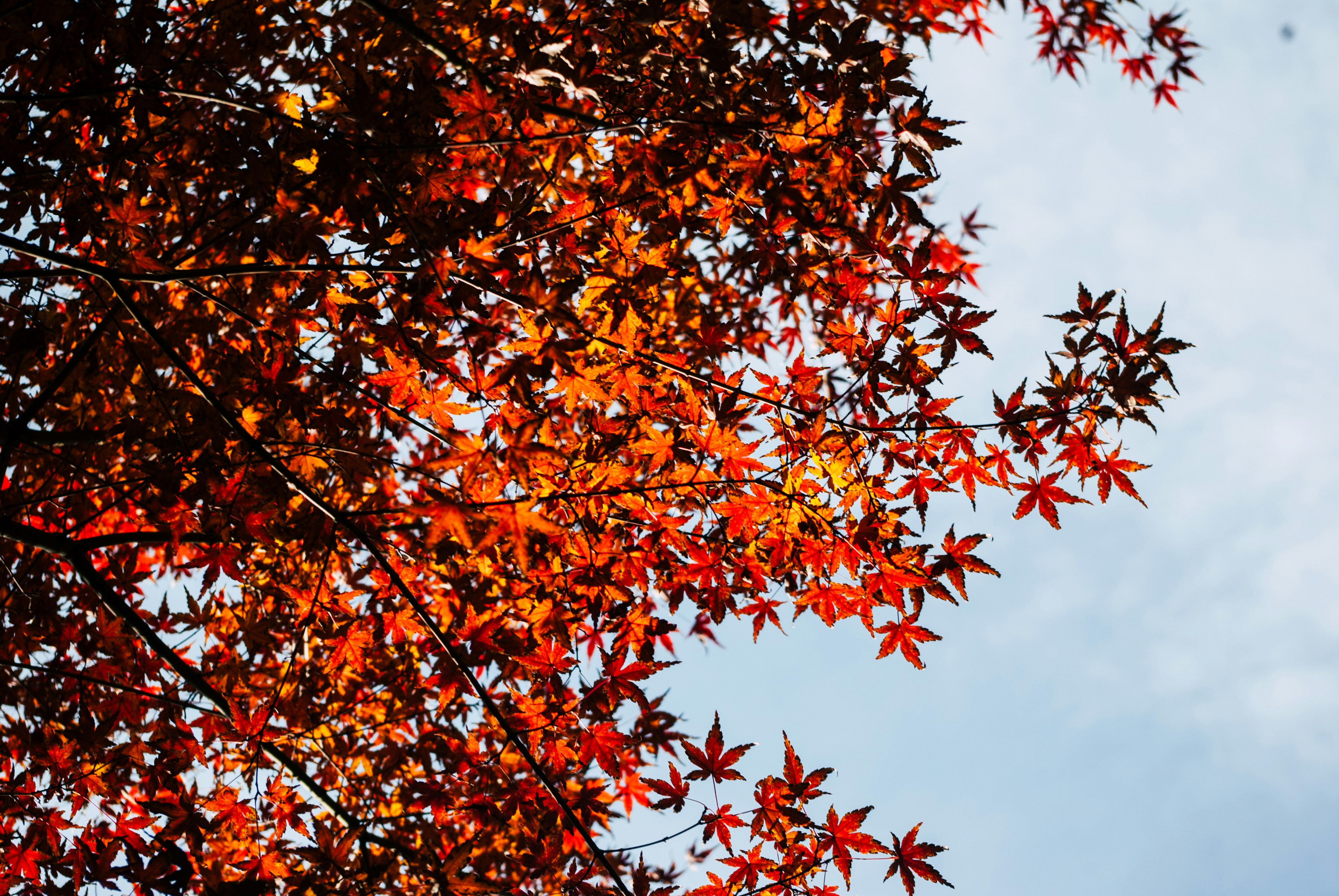 Photo by moonmoons_days