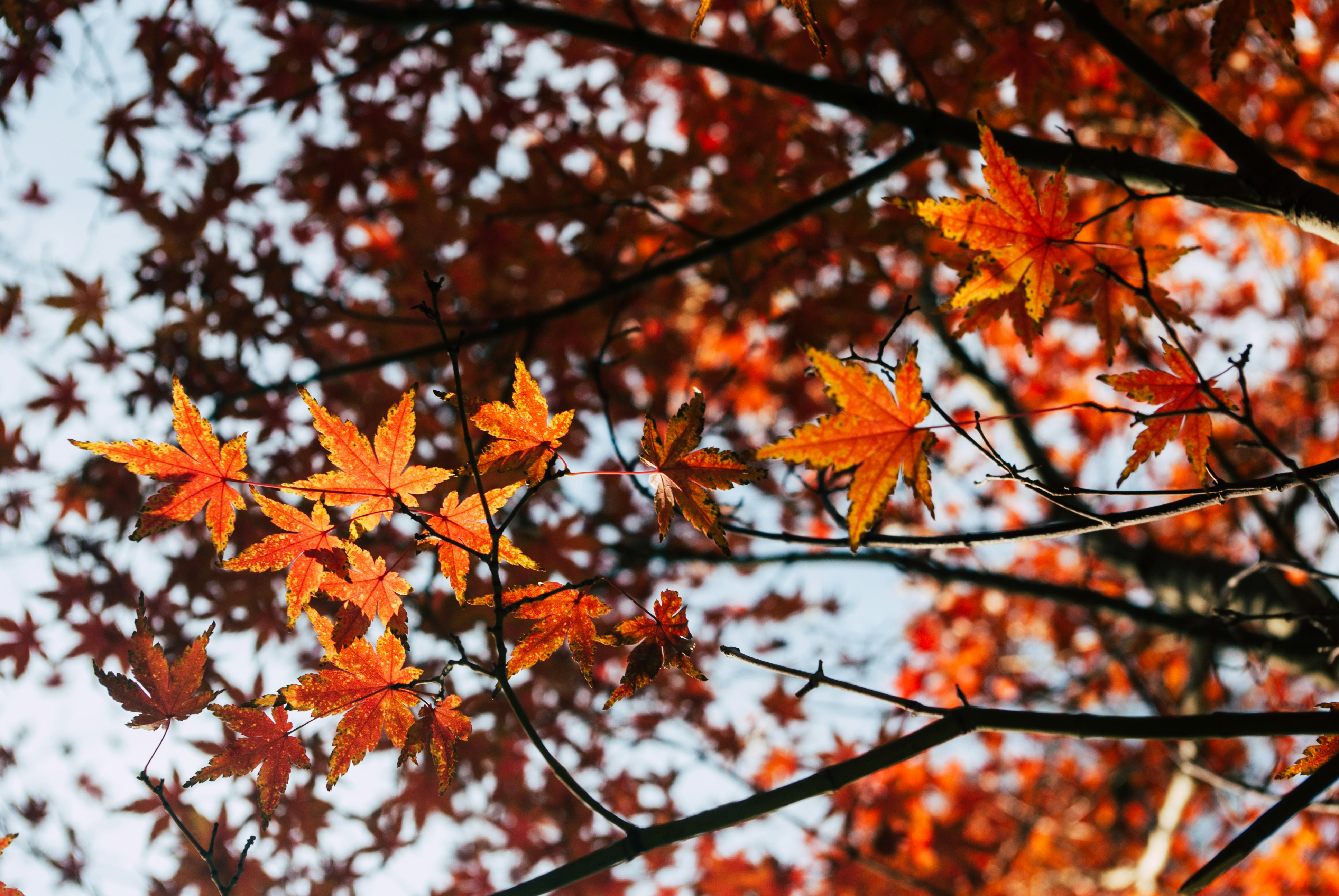 Photo by moonmoons_days