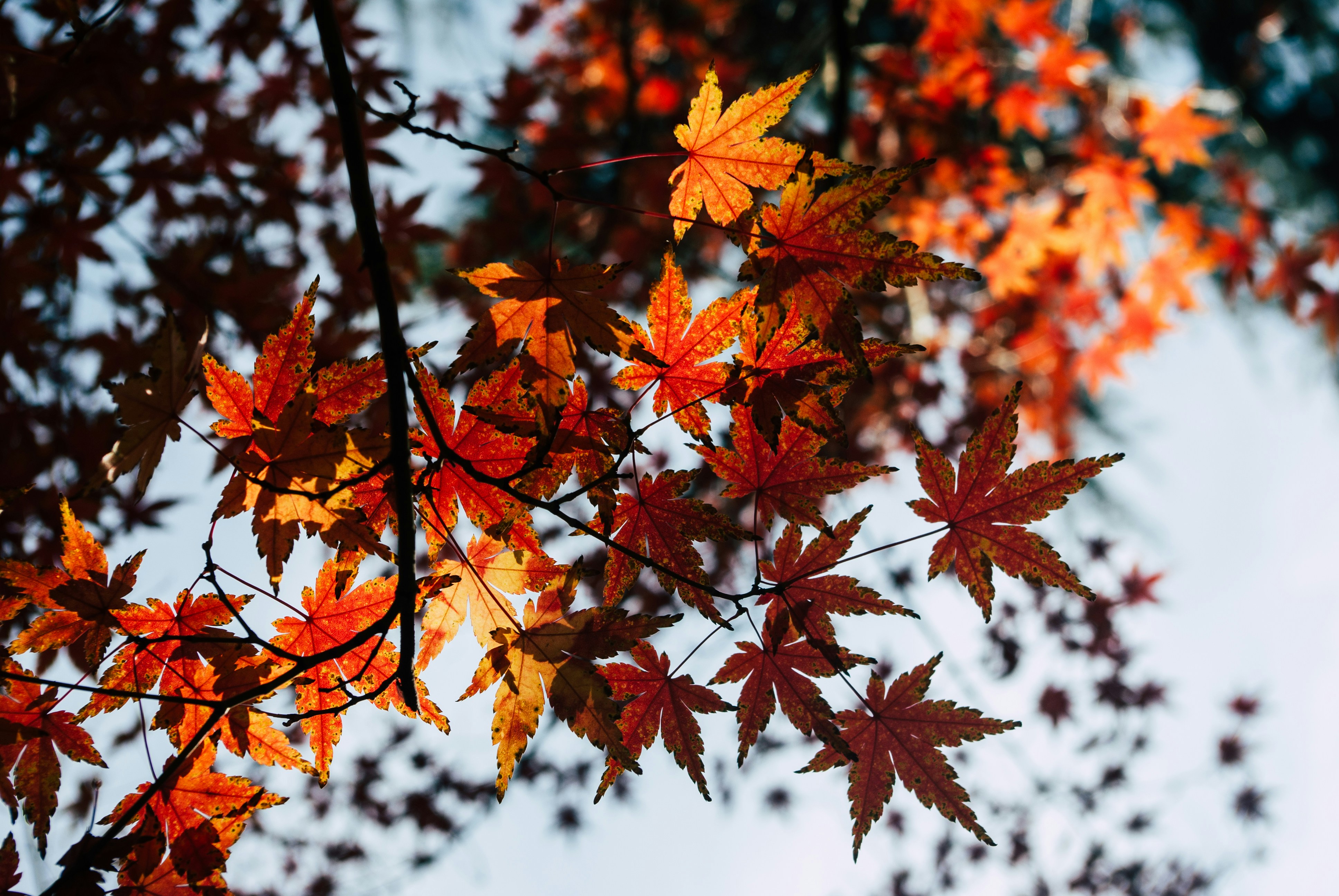 Photo by moonmoons_days