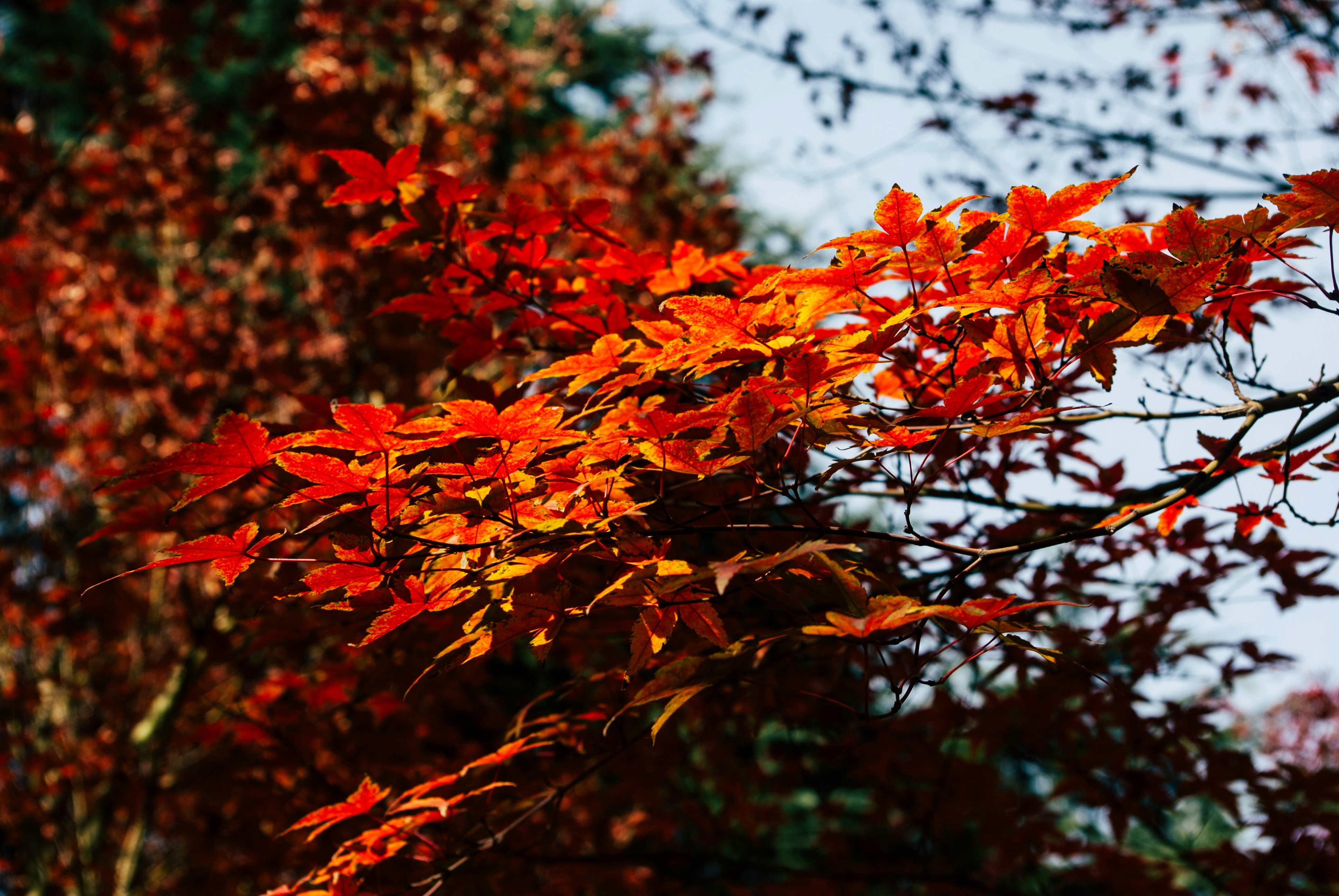 Photo by moonmoons_days