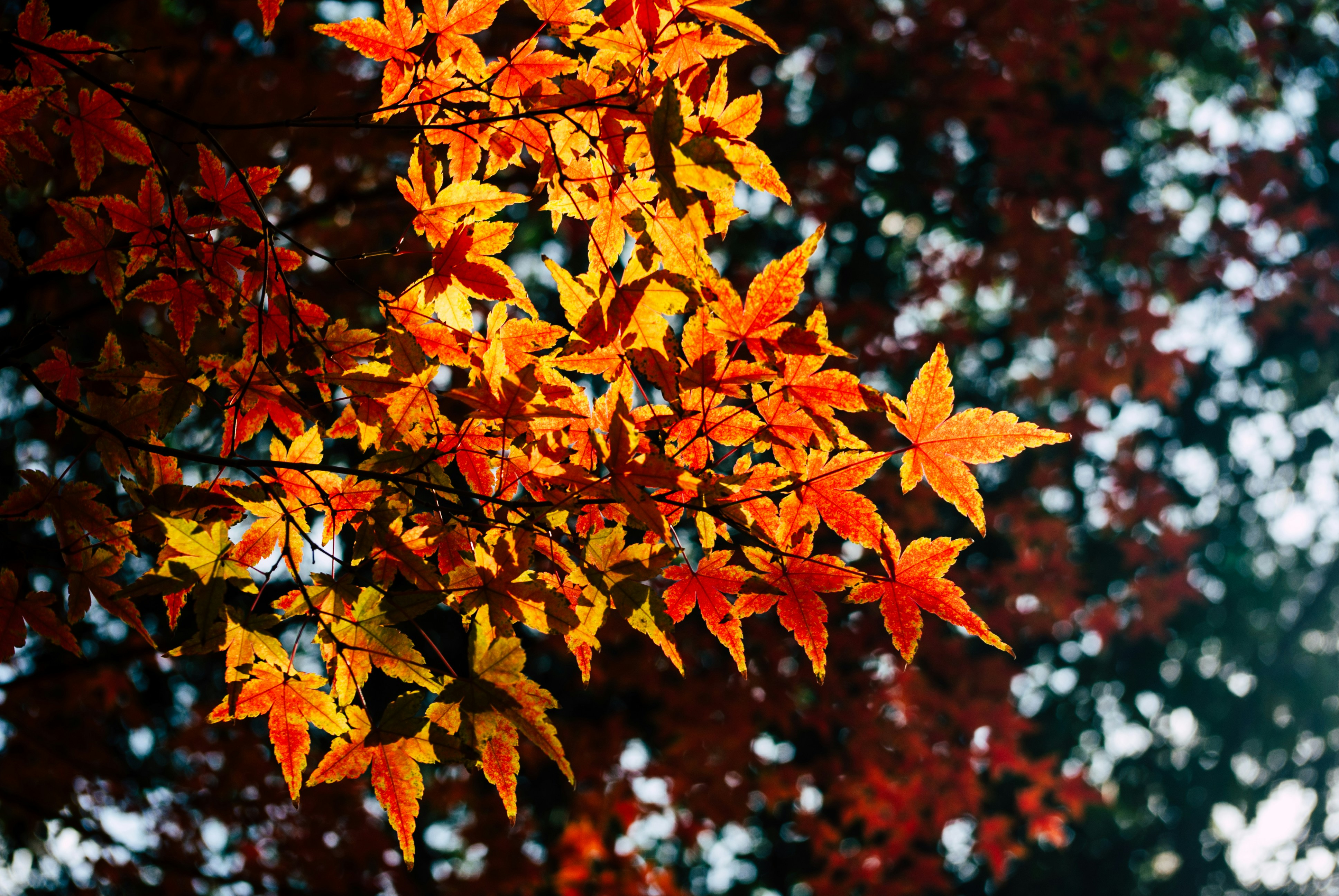 Photo by moonmoons_days