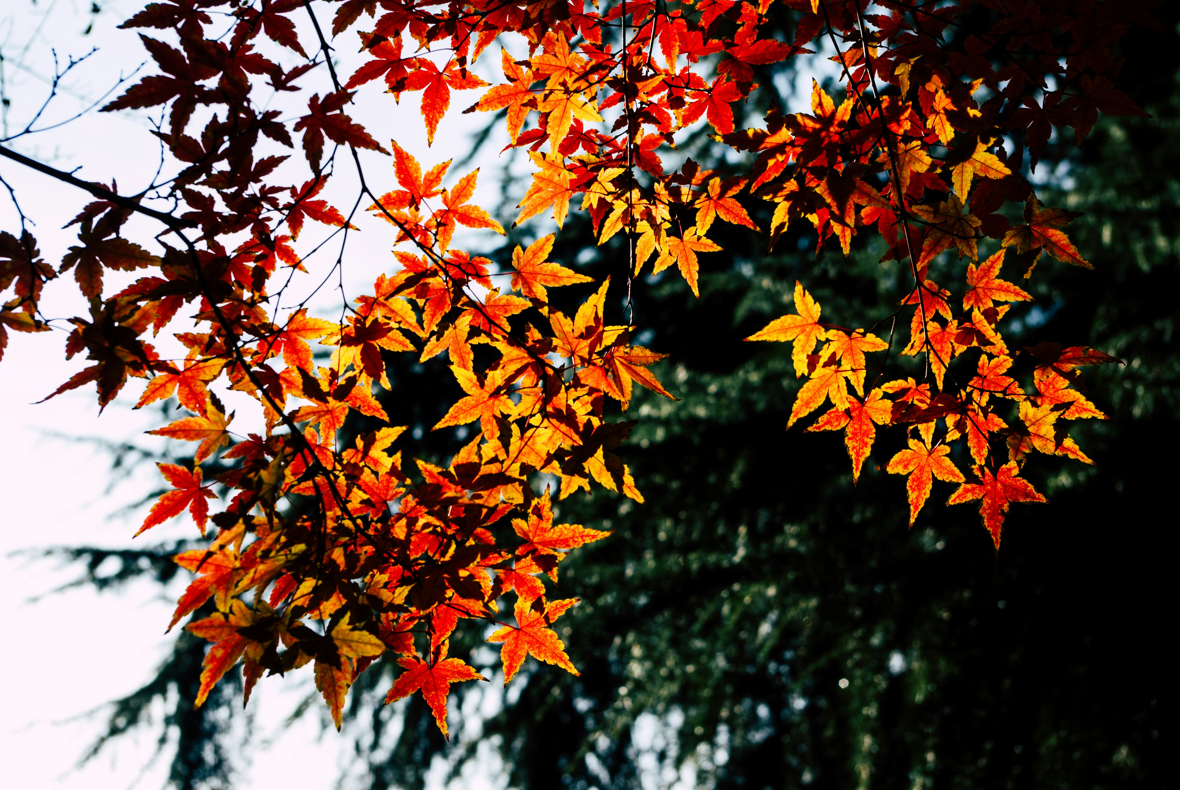 Photo by moonmoons_days