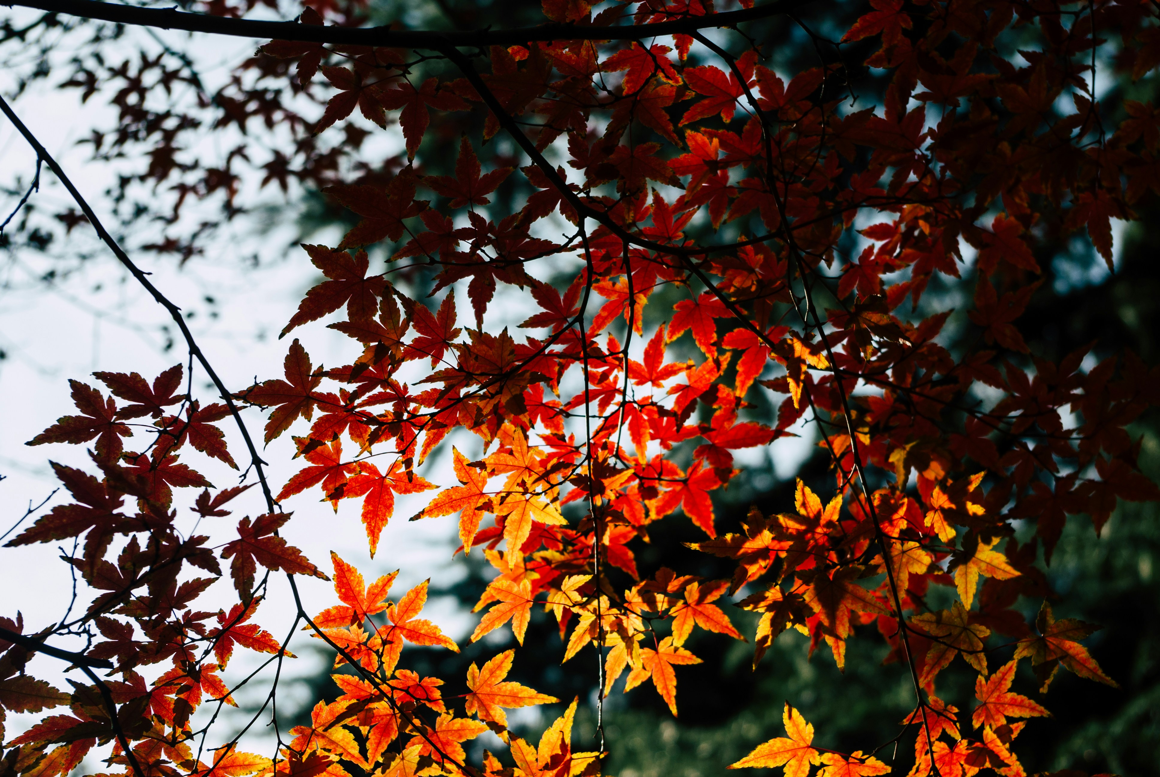 Photo by moonmoons_days