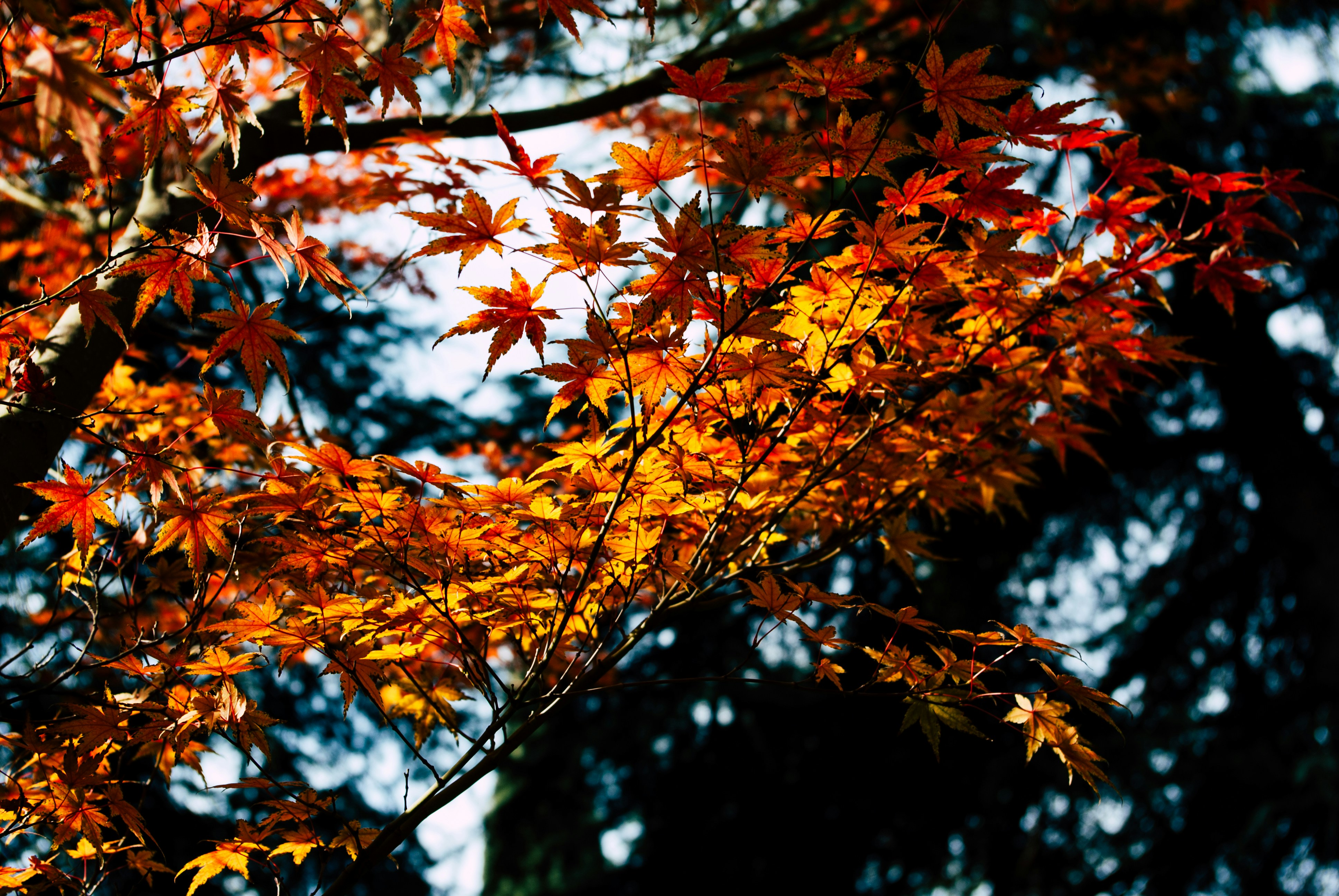 Photo by moonmoons_days