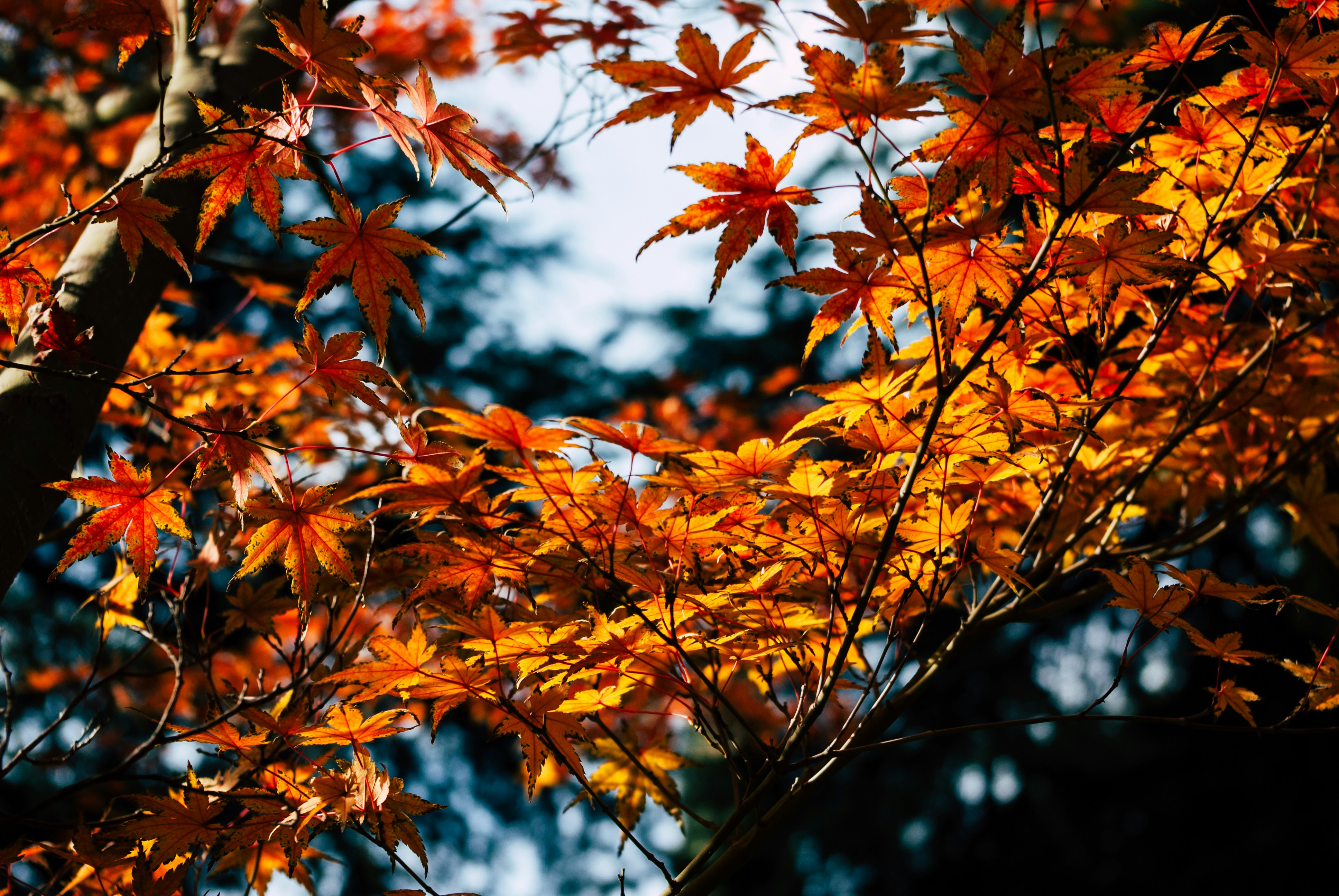 Photo by moonmoons_days