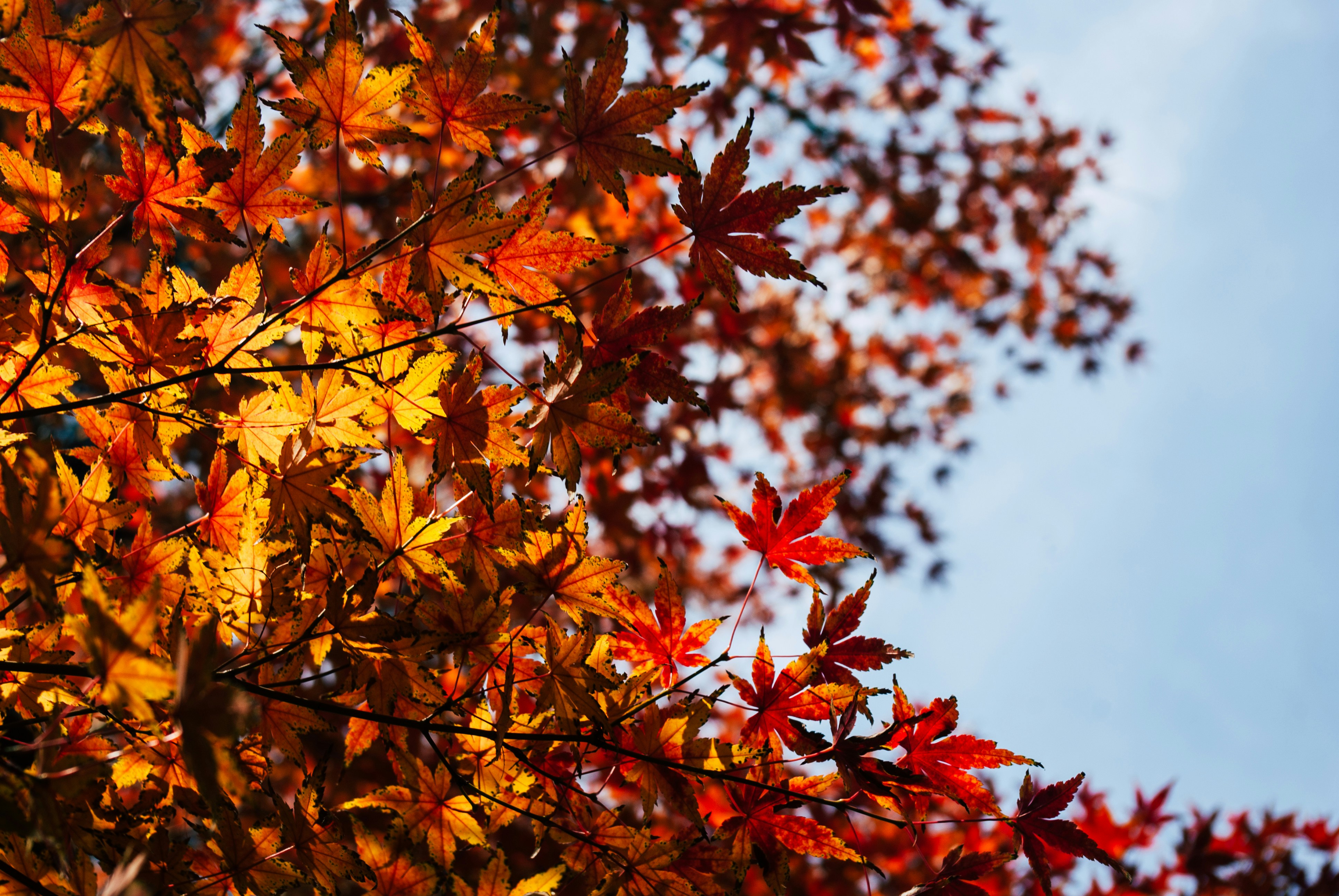 Photo by moonmoons_days