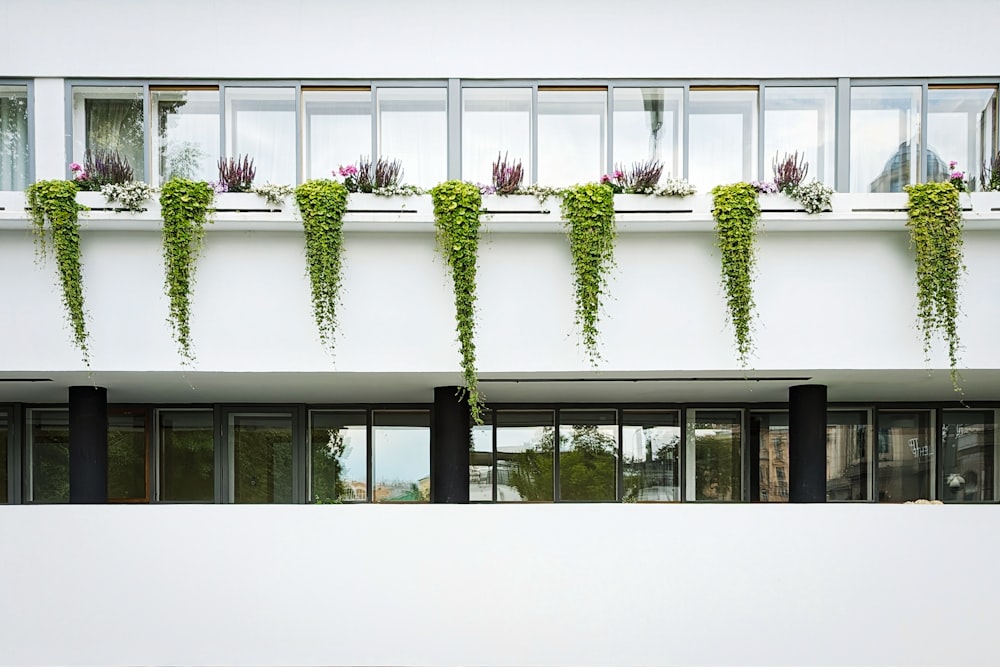 a building with a bunch of plants growing on the side of it