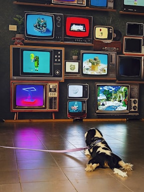 A dog lies on the floor, facing a wall adorned with a variety of vintage televisions. The screens display colorful, abstract, and pixelated digital images. The floor is tiled, and the dog's leash is visible, adding a domestic touch to the retro and artistic setup.