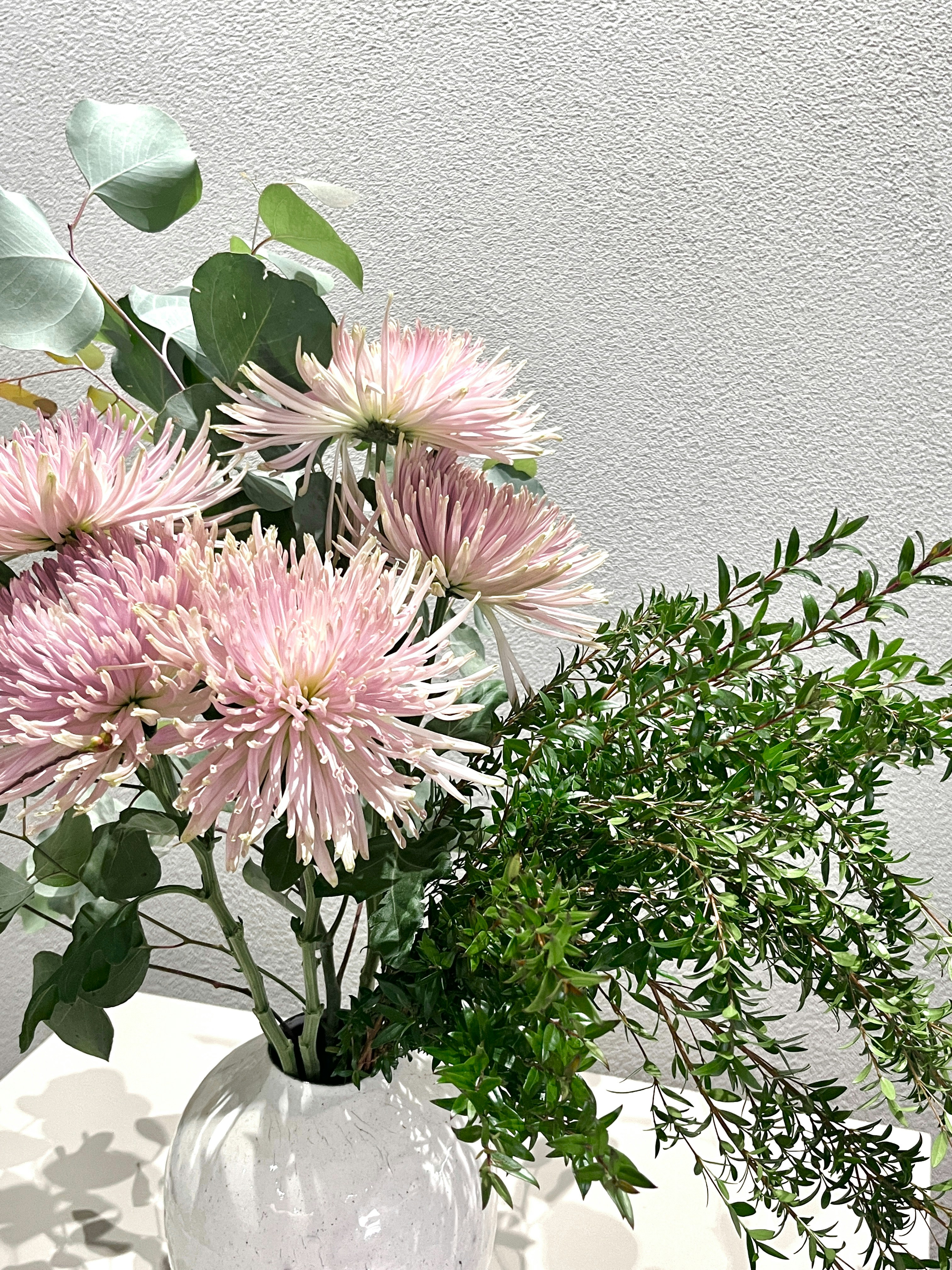 Ramo Primavera