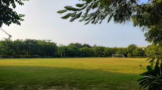 A close-up of a sturdy, lightweight portable football goal set up on a grassy field under a bright sky.