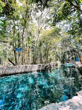 A peaceful oasis with lush greenery and a clear water spring symbolizing renewal and connection.