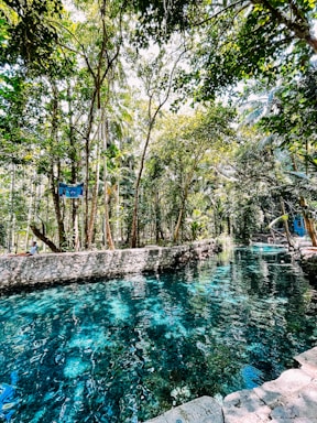 A peaceful oasis with lush greenery and a clear water spring symbolizing renewal and connection.