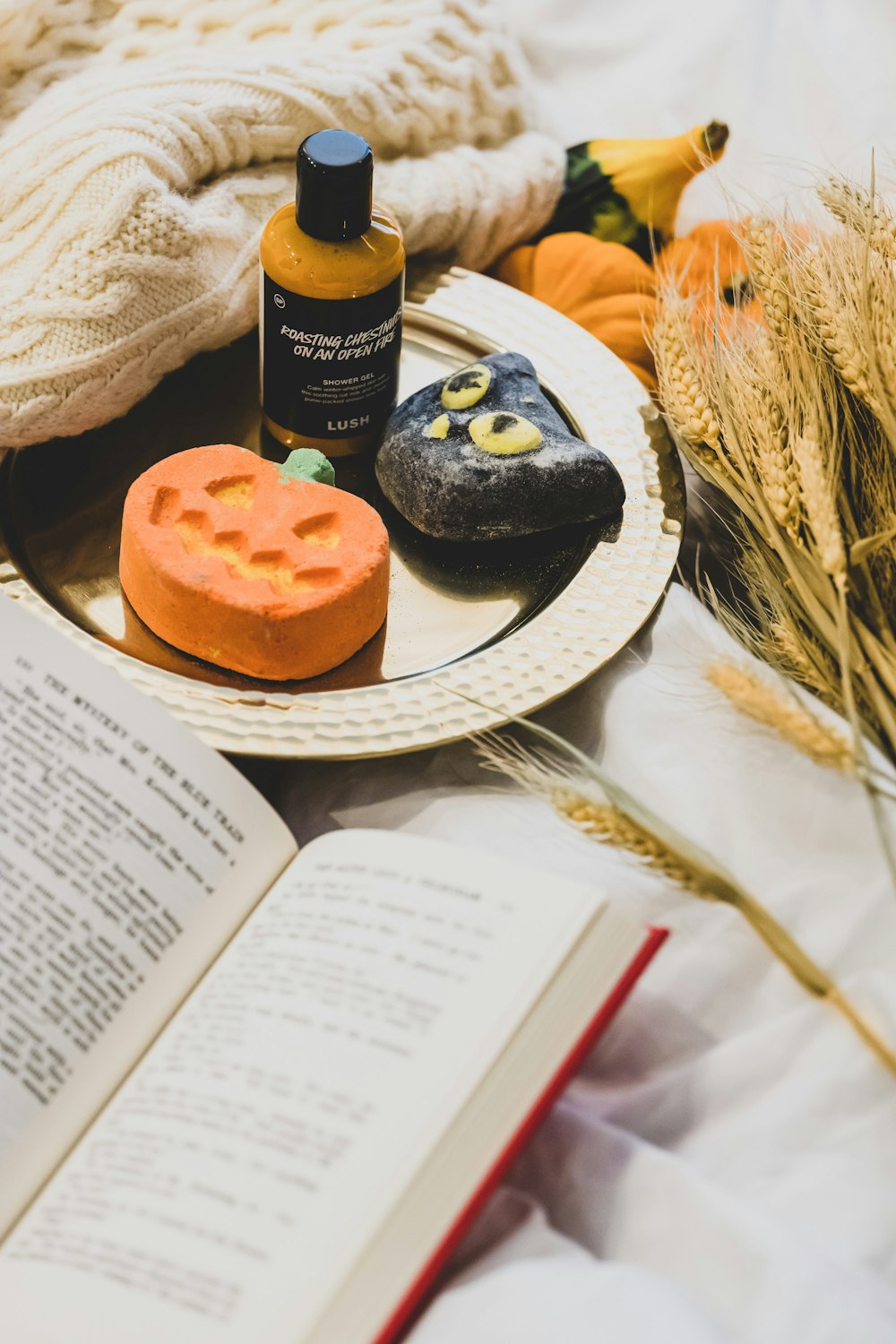 a plate with a book and some cookies on it