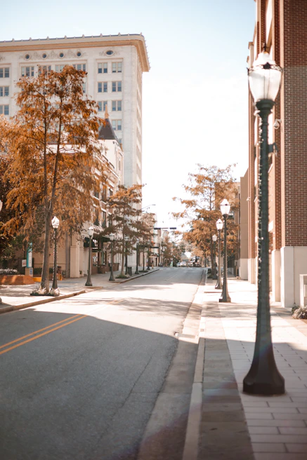 Golden hour light bathing a quiet city street lined with autumn trees